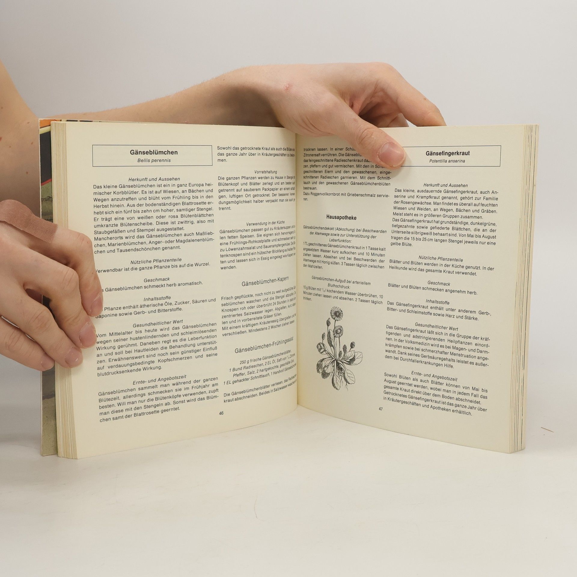 Pia Pervenche Kräuter- und Heilpflanzen-Kochbuch für eine gesunde Lebensweise