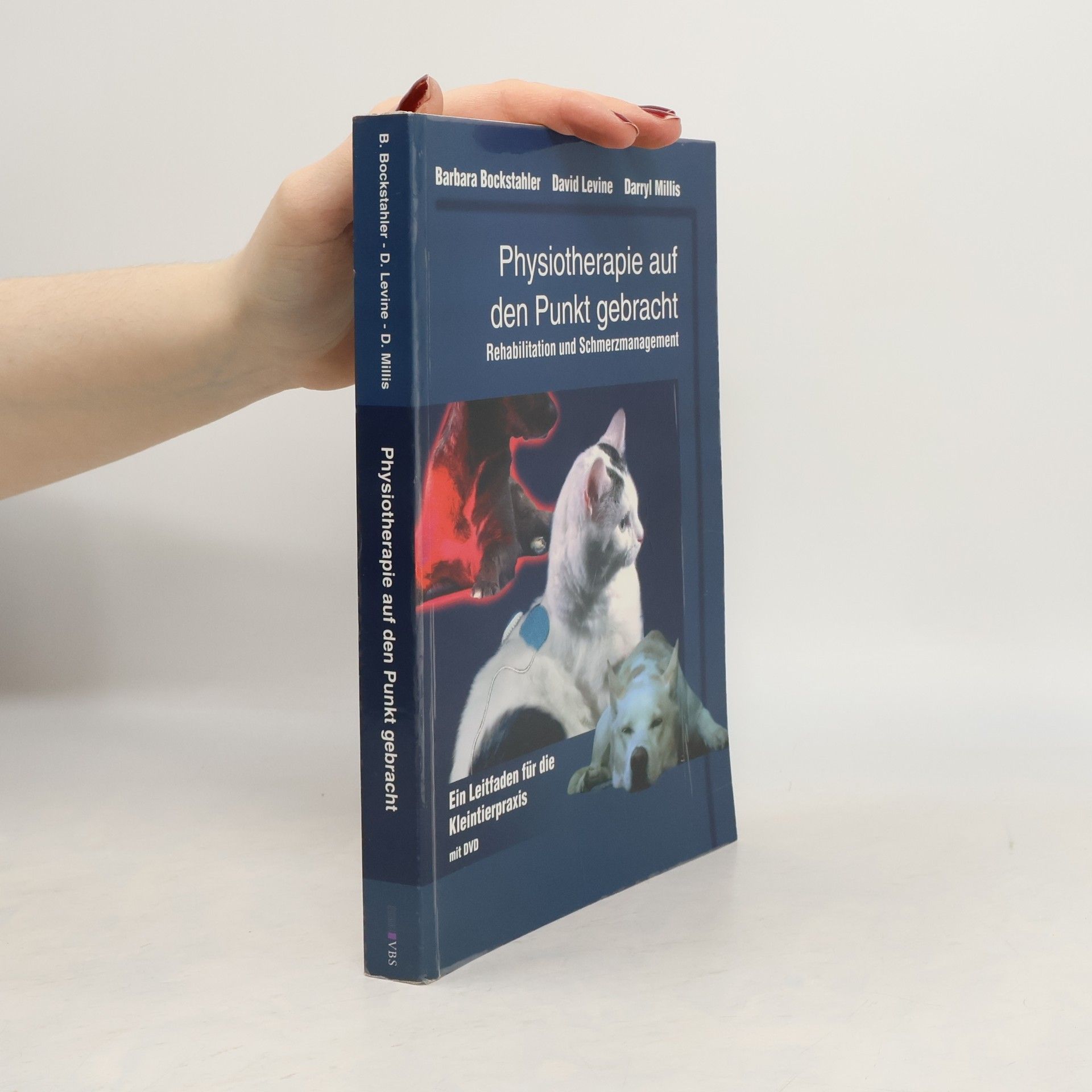 Physiotherapie auf den Punkt gebracht