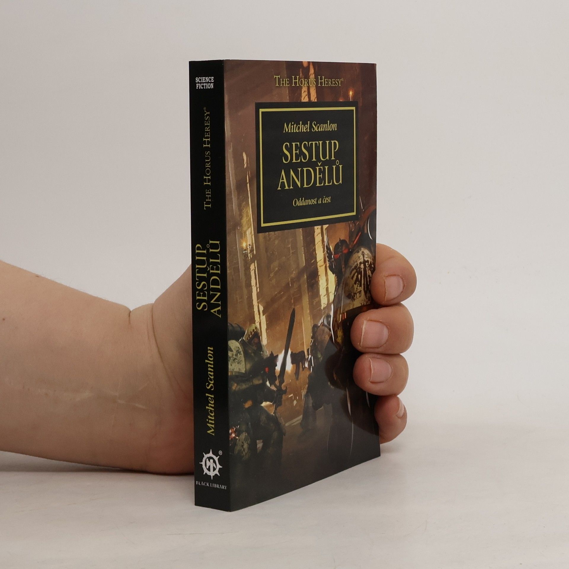 Mitchel Scanlon Sestup andělů