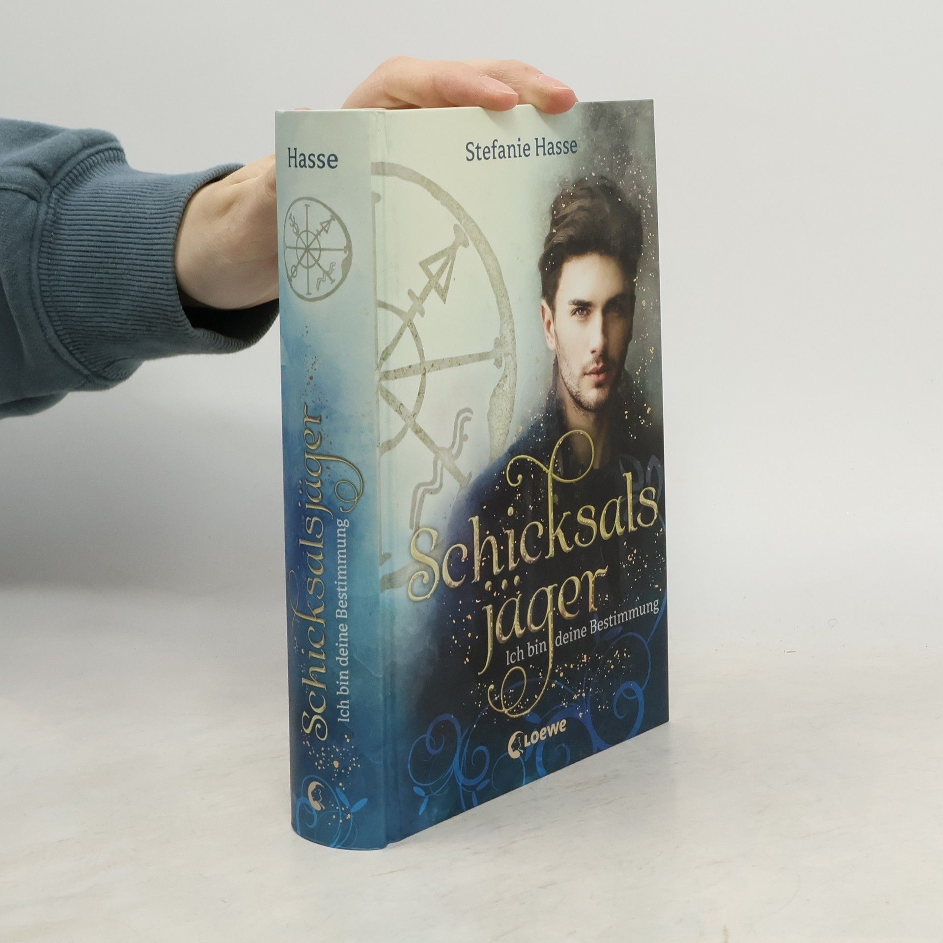 Stefanie Hasse Schicksalsjäger - ich bin deine Bestimmung