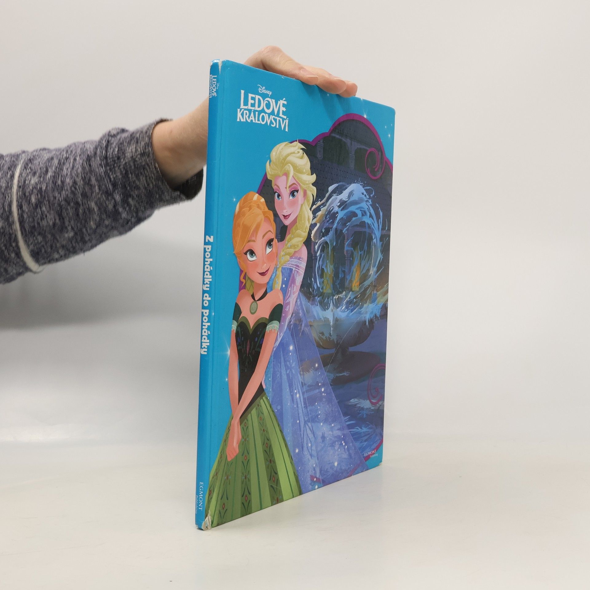 Kolektiv autorů Ledové království