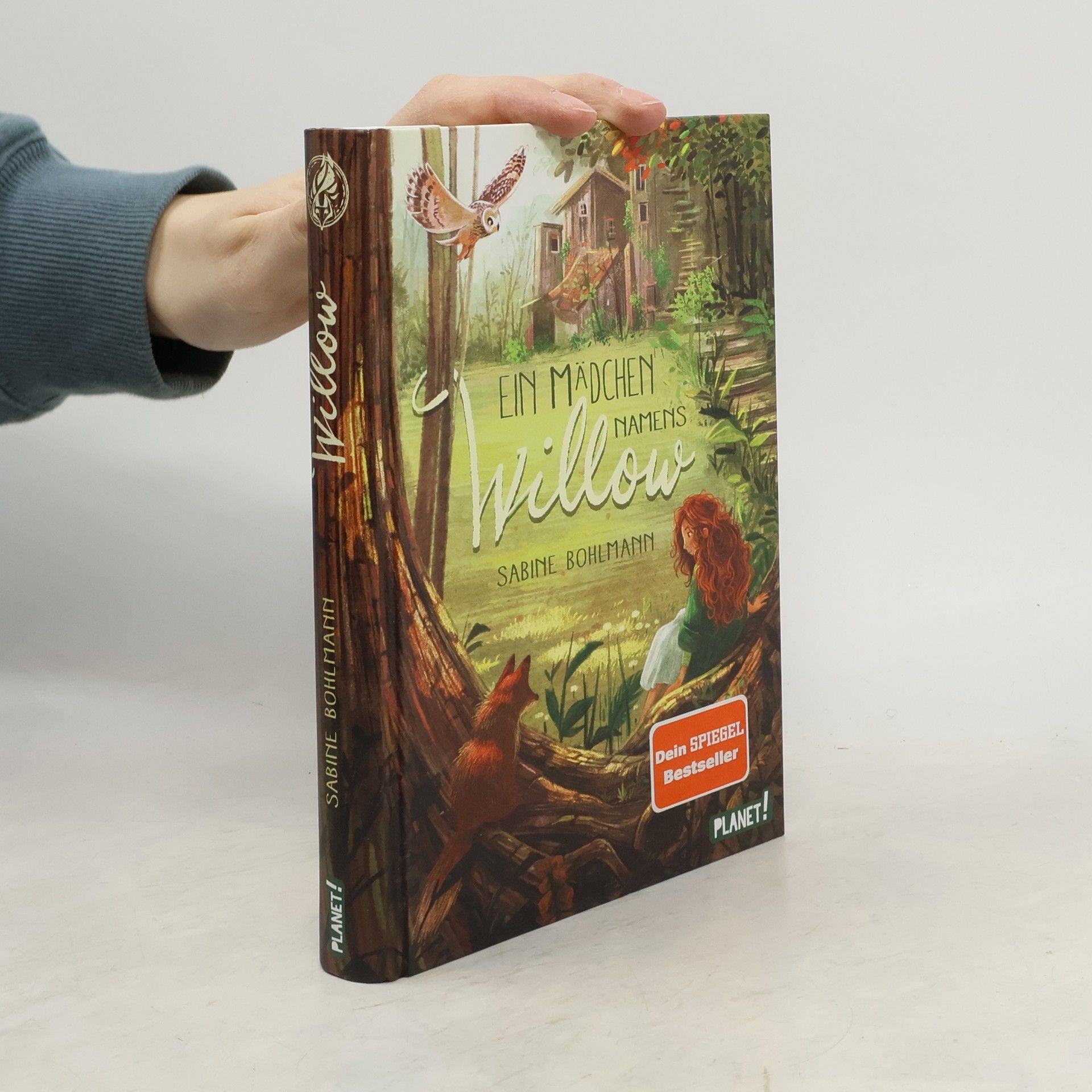 Sabine Bohlmann Ein Mädchen namens Willow