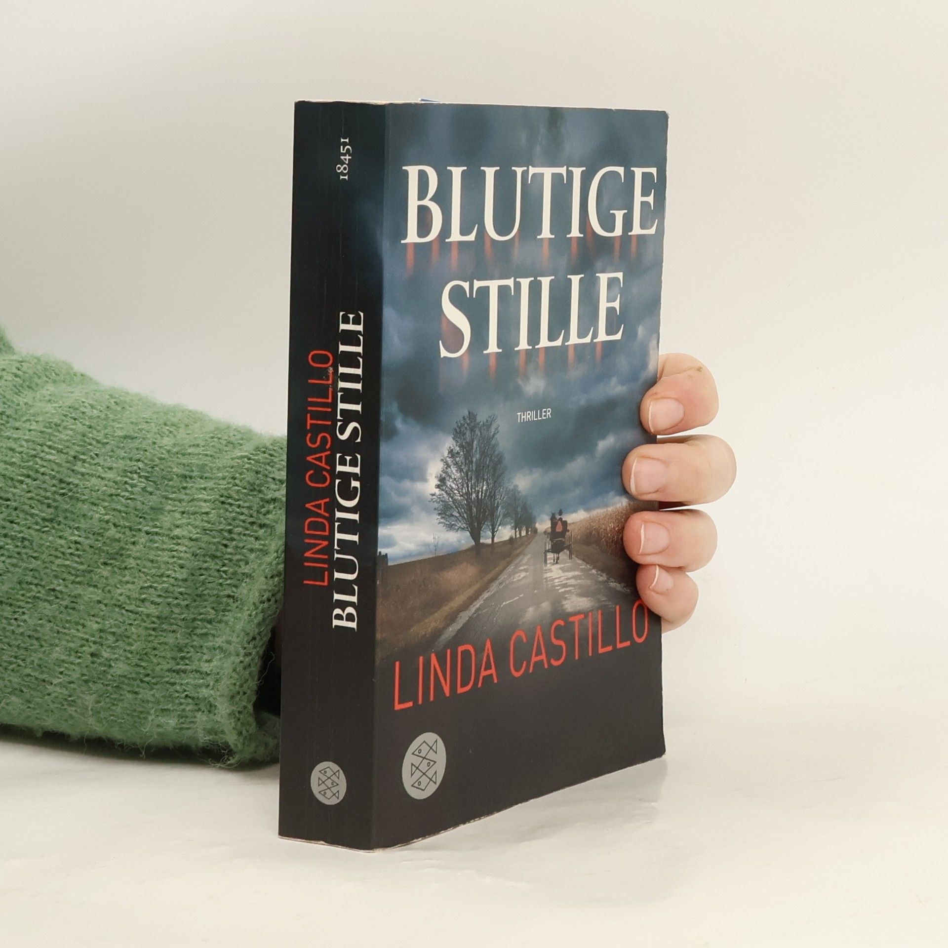 Linda Castillo Blutige Stille
