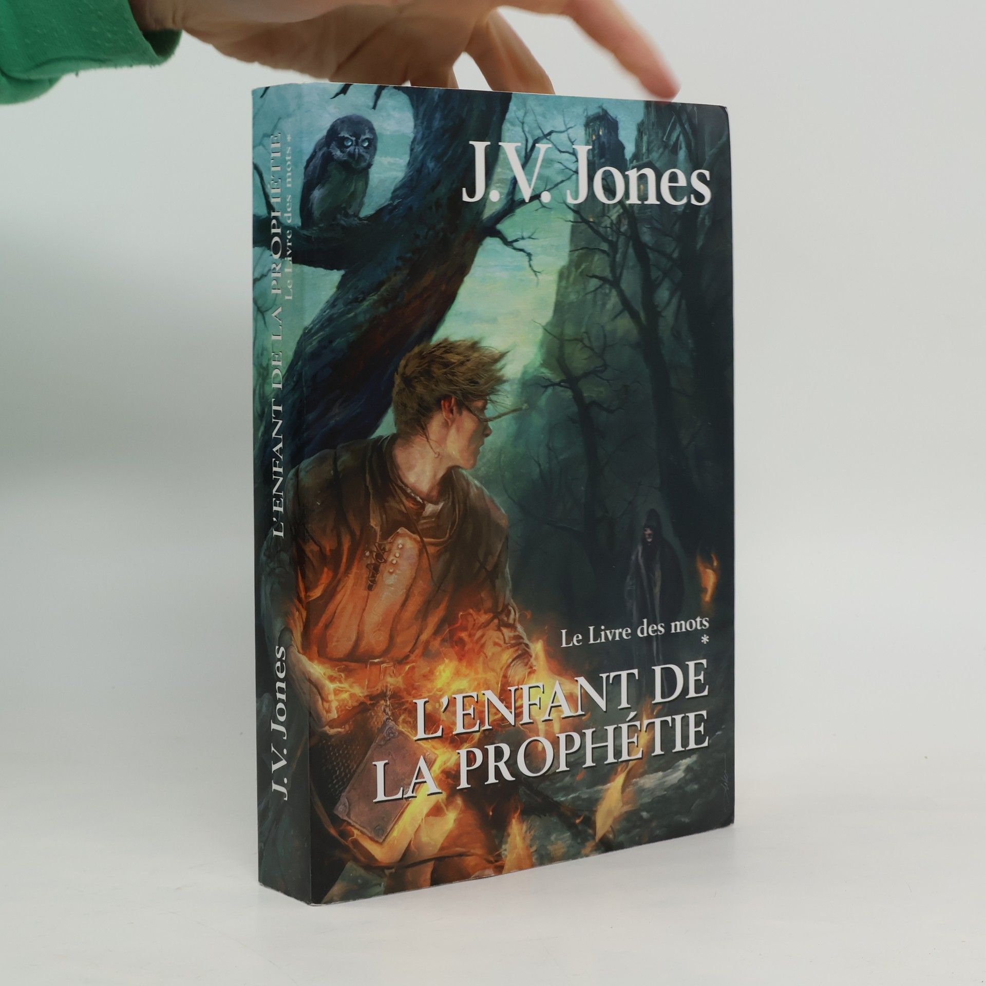 Julie Victoria Jones Le livre des mots