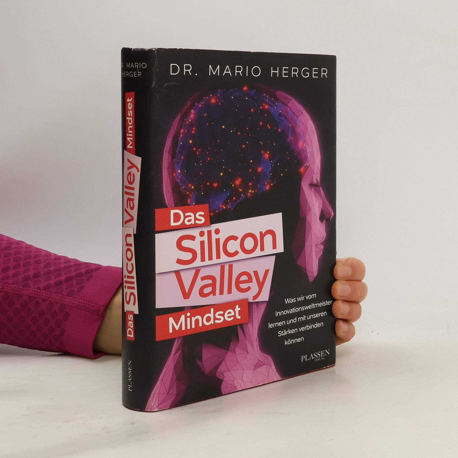 Mario Herger Das Silicon-Valley-Mindset