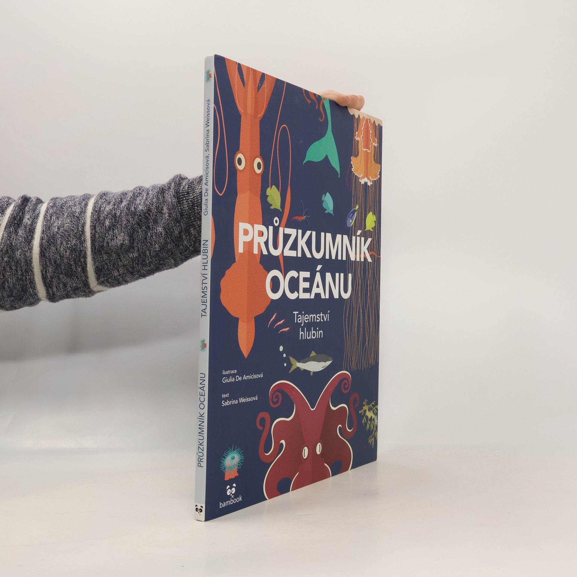 Průzkumník oceánu. Tajemství hlubin