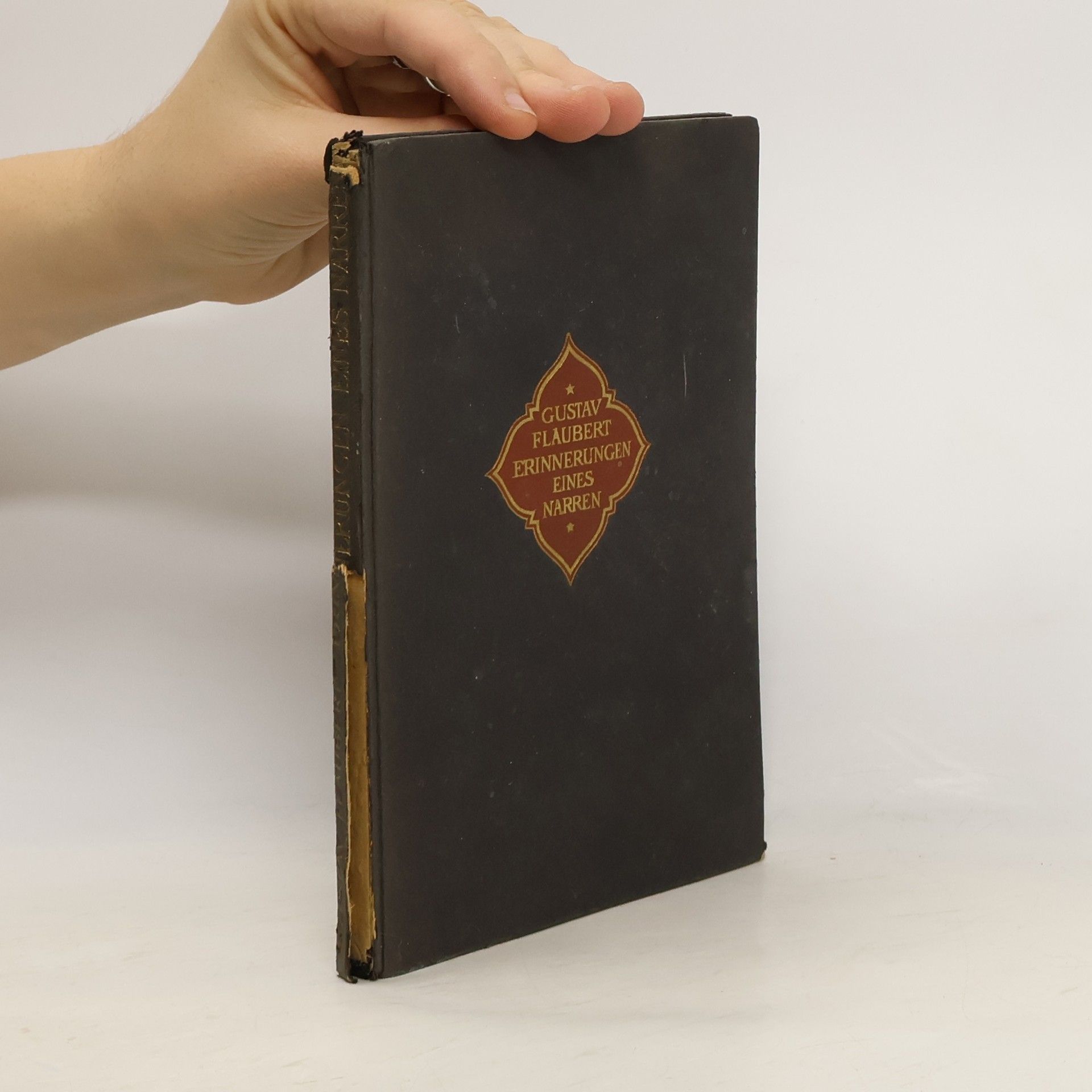 Gustave Flaubert Erinnerungen eines Narren