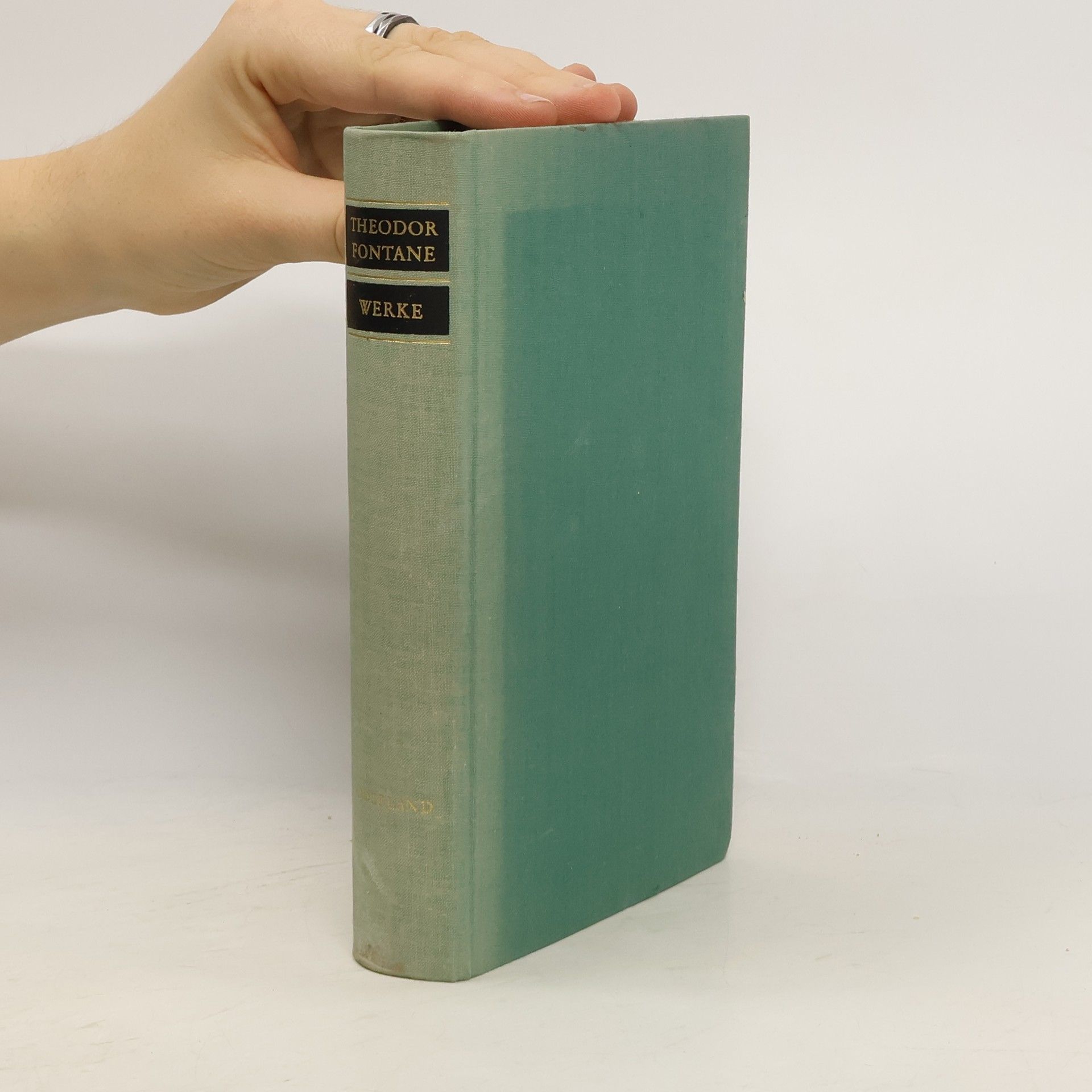 Theodor Fontane Werke VIII.