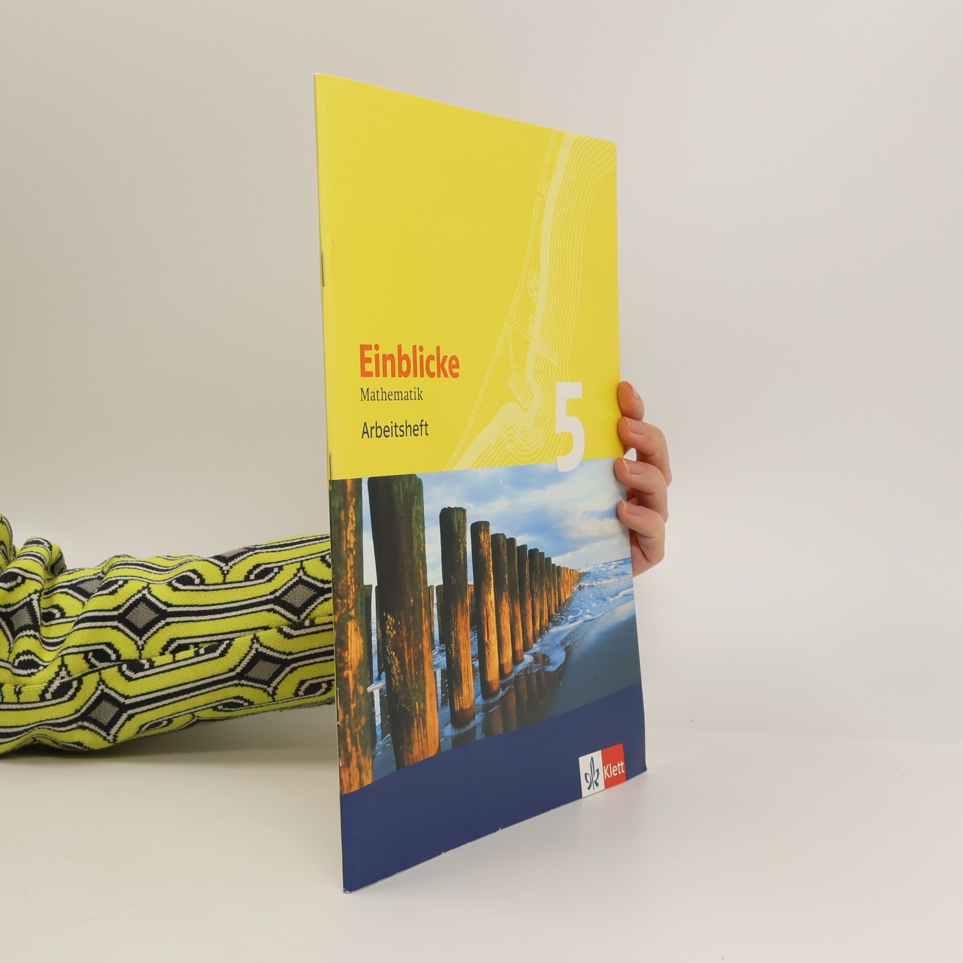 August Schmid Einblicke Mathematik 5. Arbeitsheft