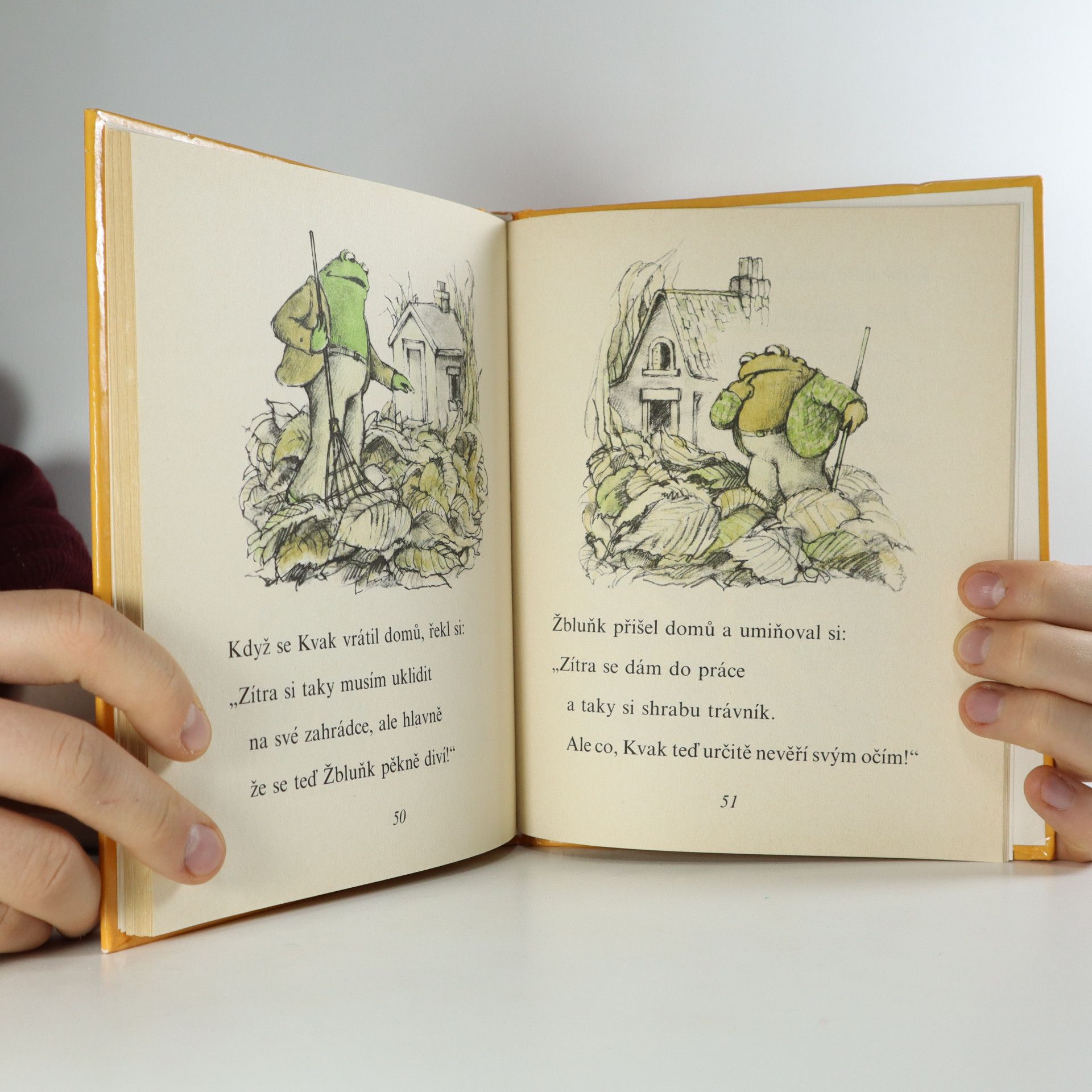 Arnold Lobel Kvak a Žbluňk od jara do Vánoc