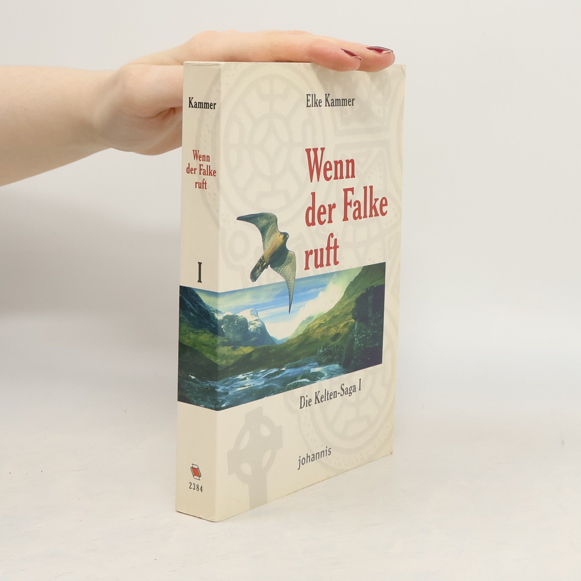 Die Kelten-Saga - 1: Wenn der Falke ruft