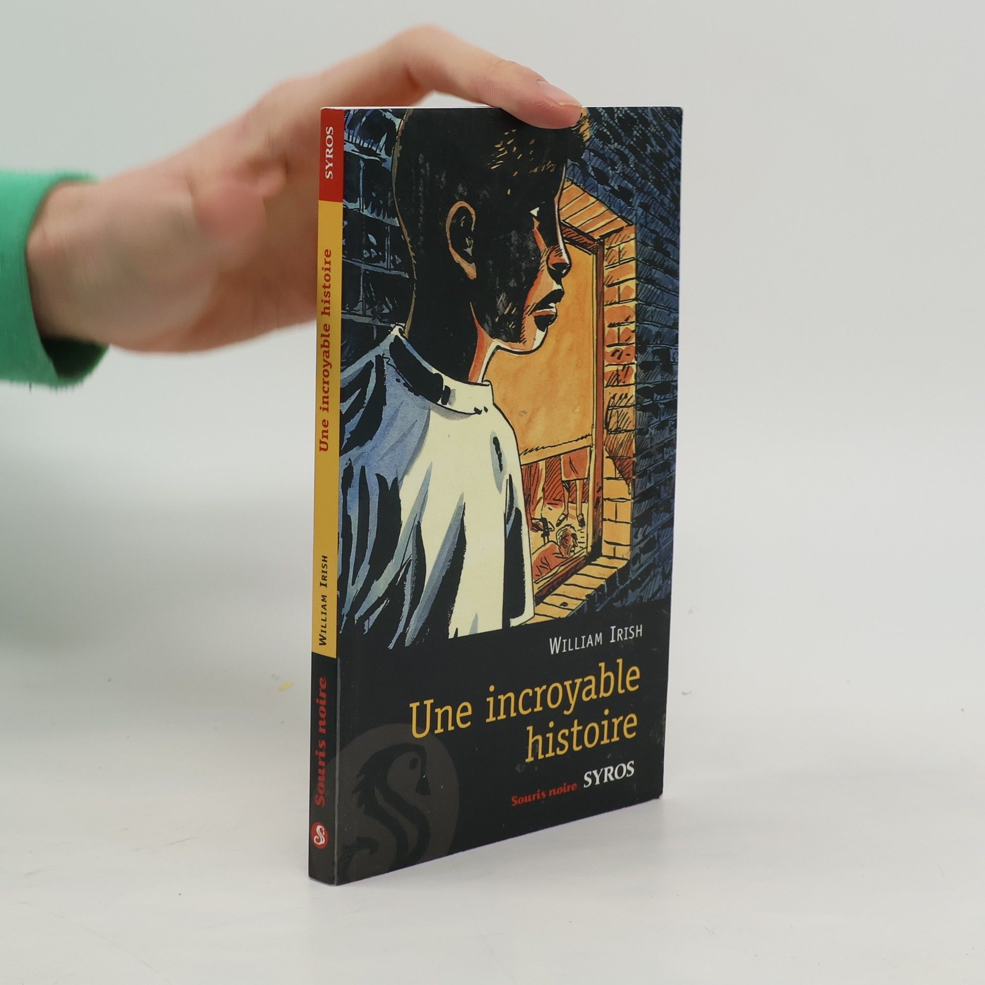 Une incroyable historie