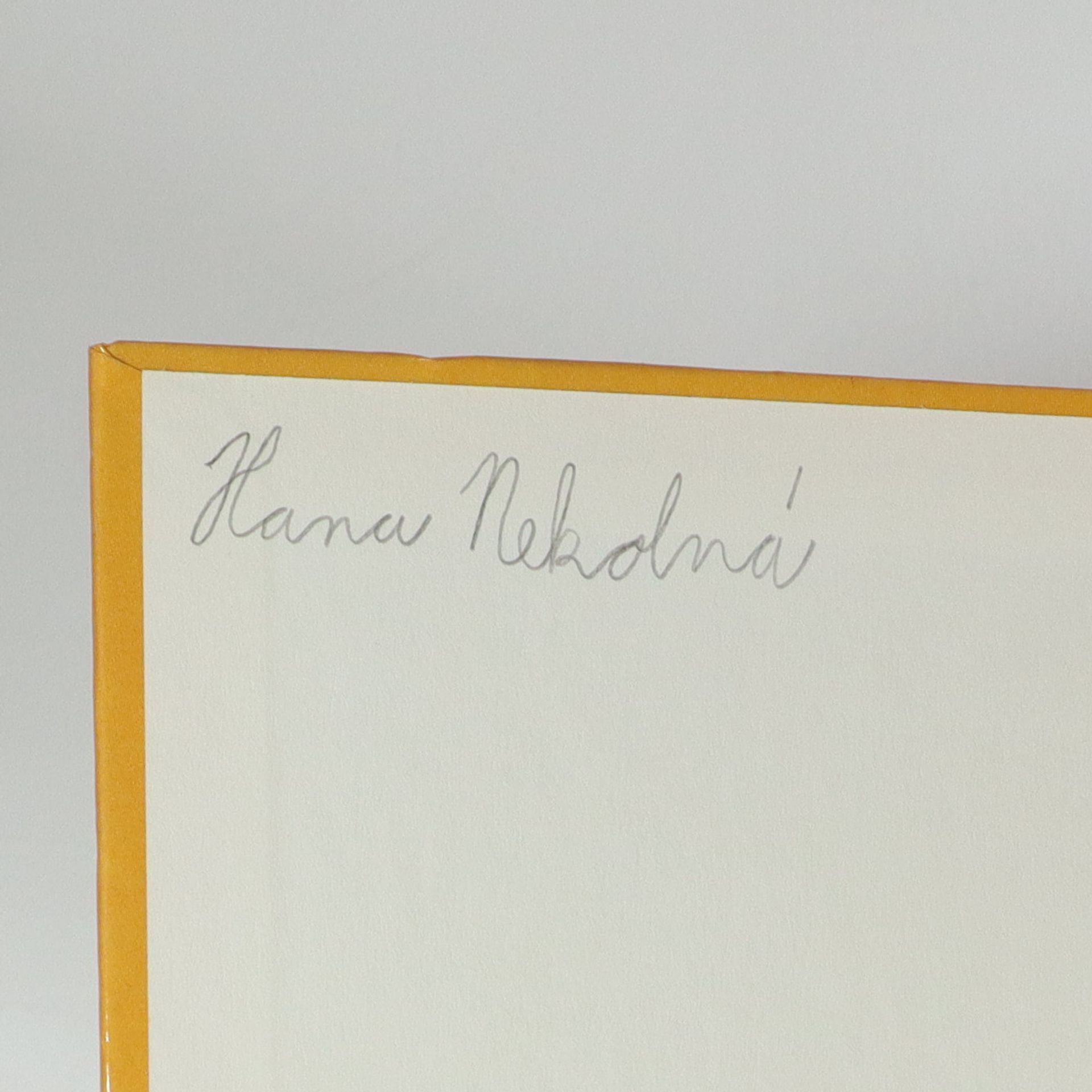 Arnold Lobel Kvak a Žbluňk od jara do Vánoc