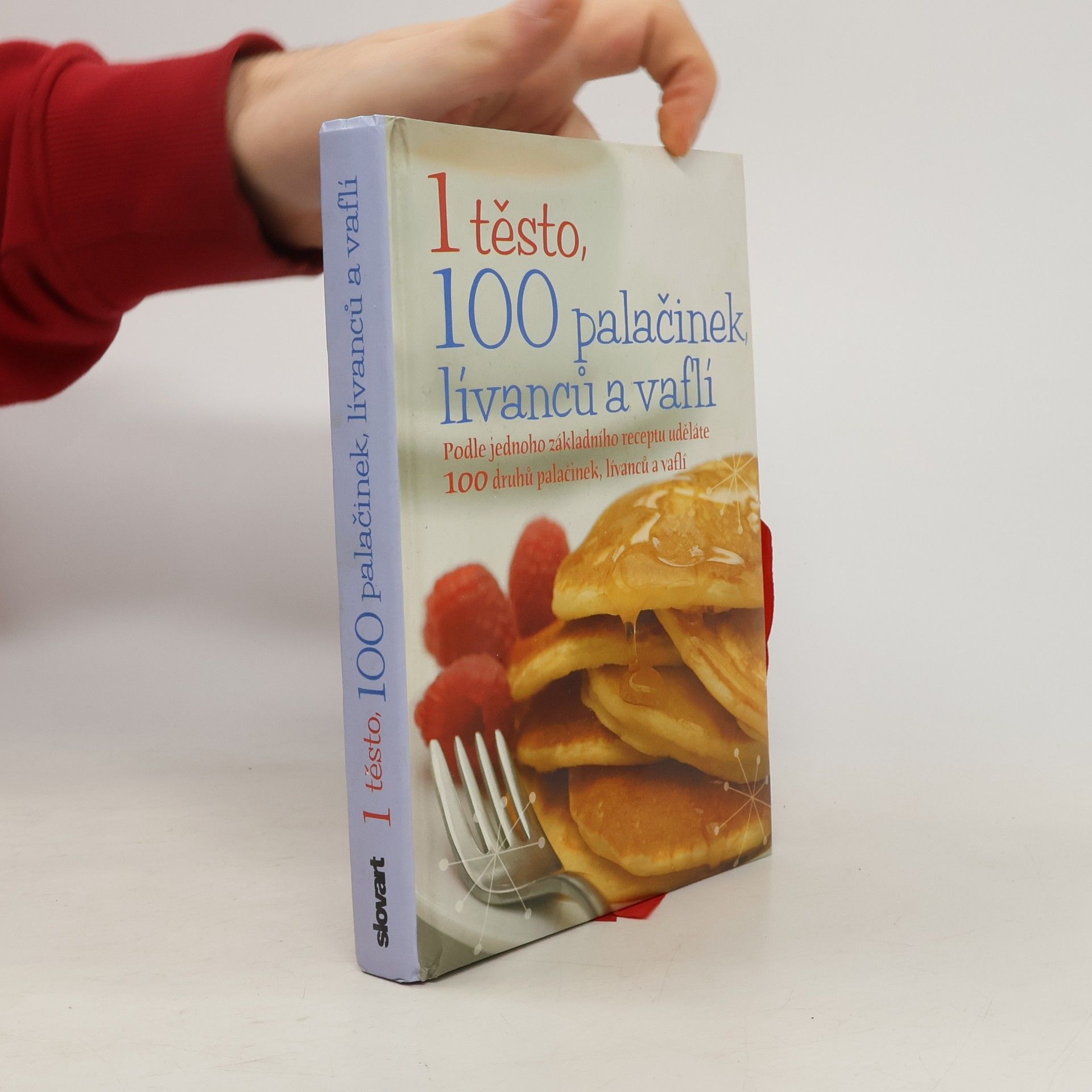 Christine France 1 těsto, 100 palačinek, lívanců a vaflí