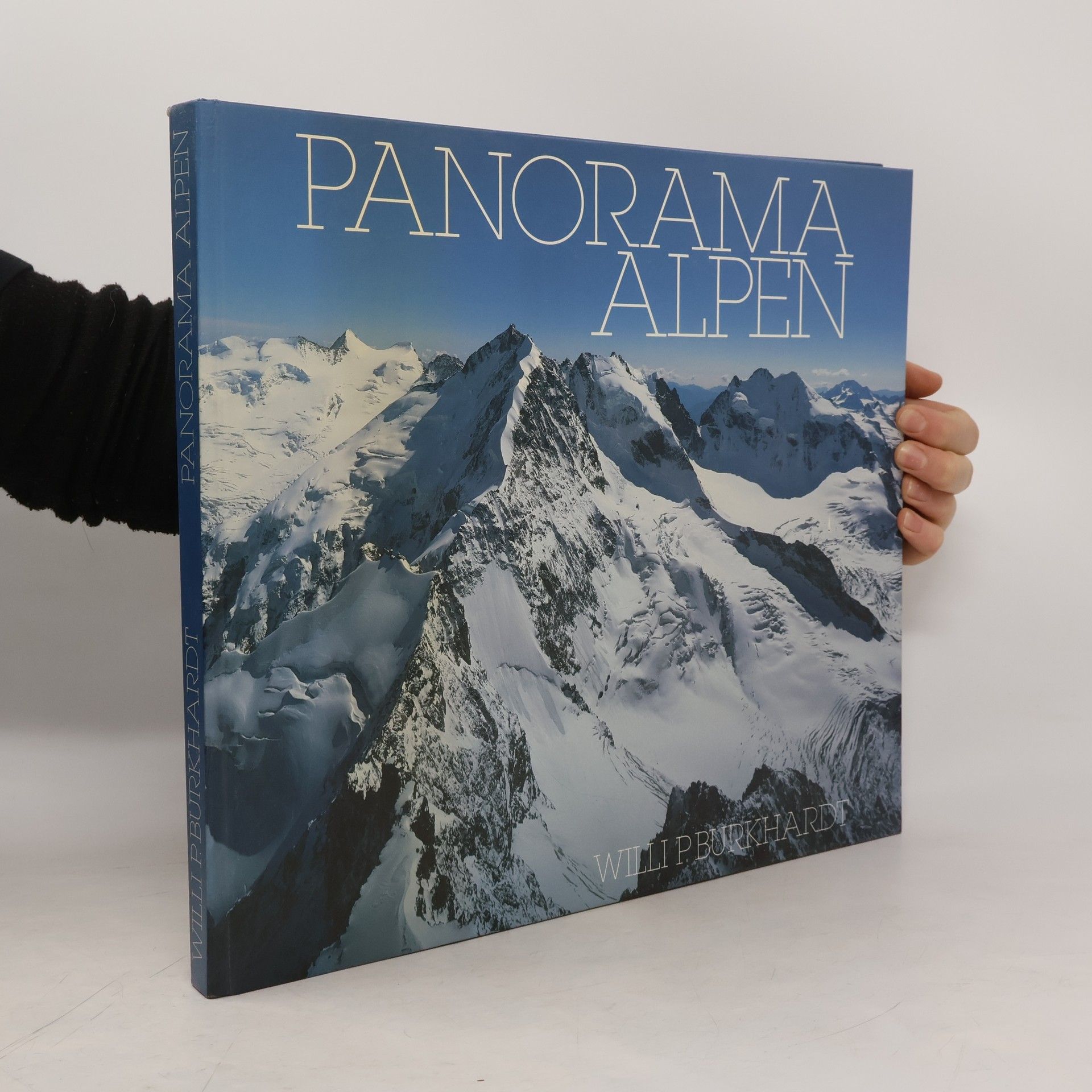 Collectif d'auteurs Panorama Alpen