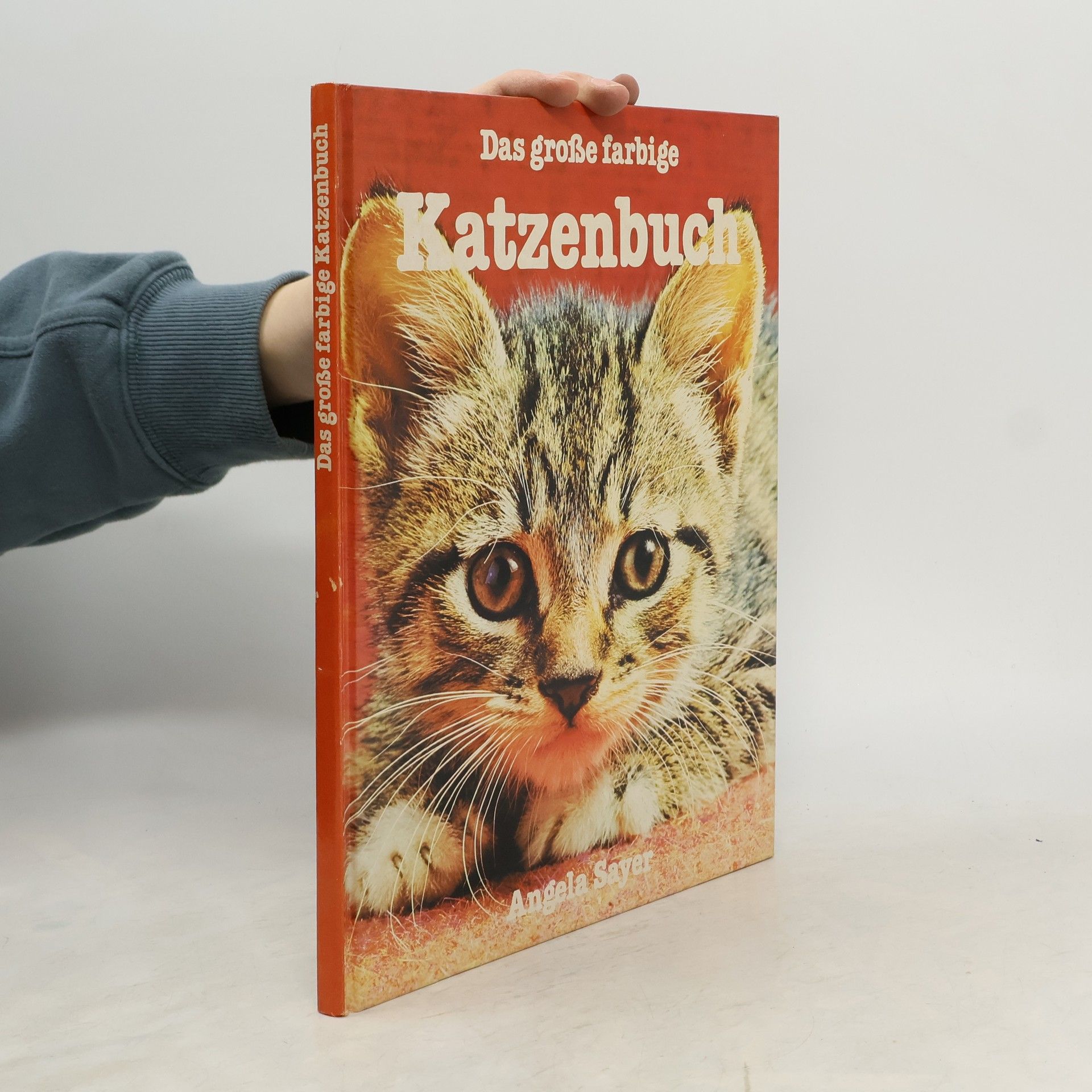 Das große farbige Katzenbuch