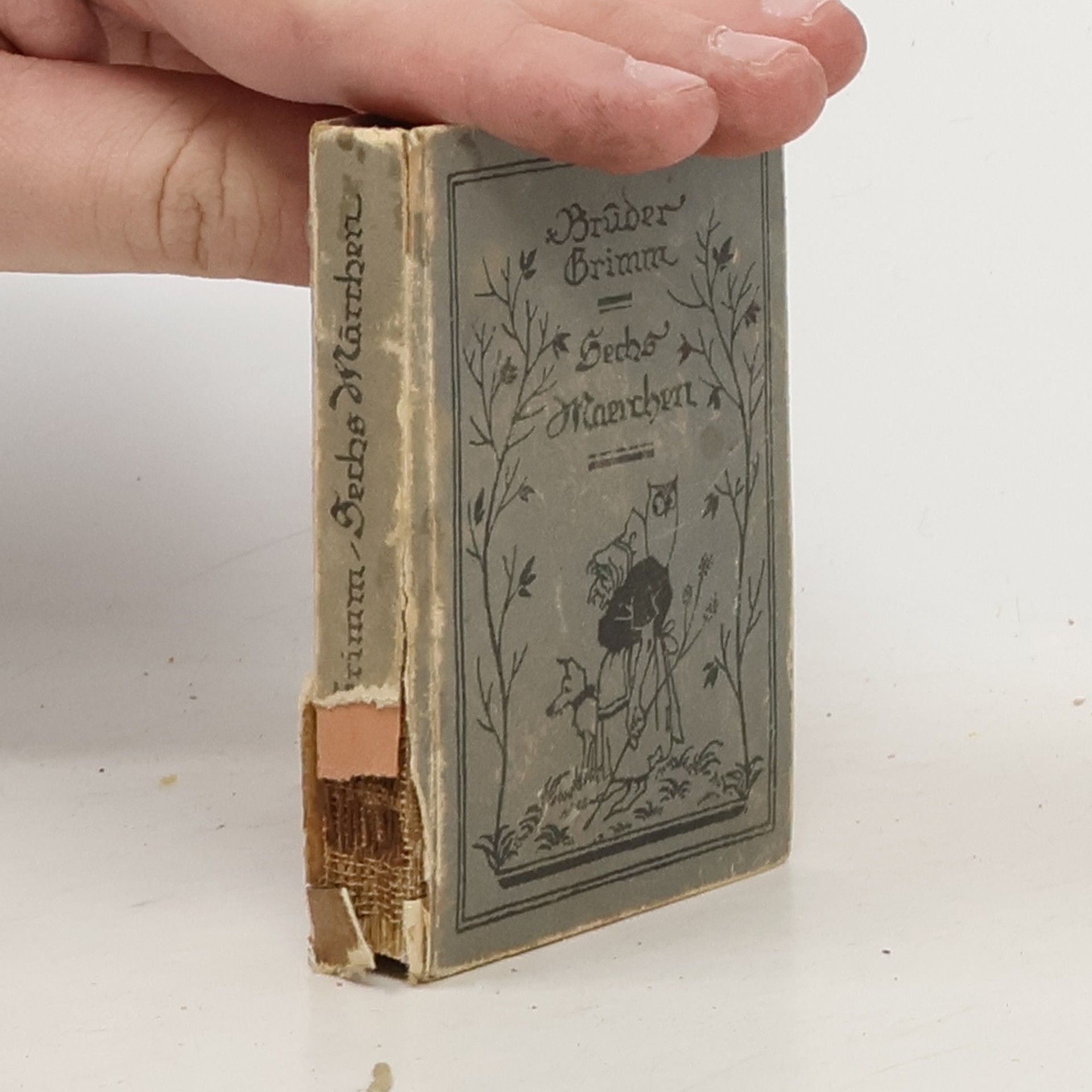 bratři Grimmové Sechs Maerchen