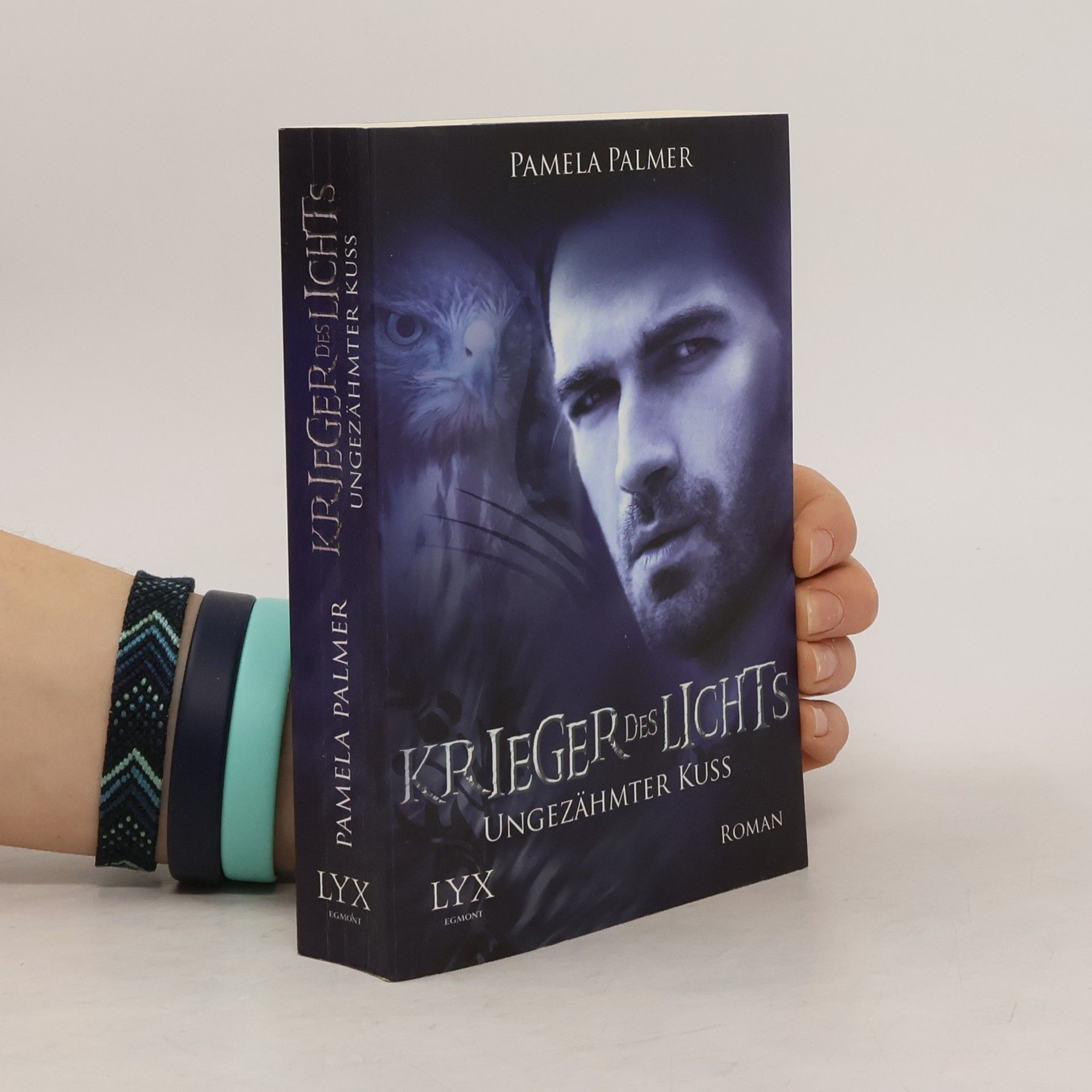 Pamela Palmer Krieger des Lichts 6