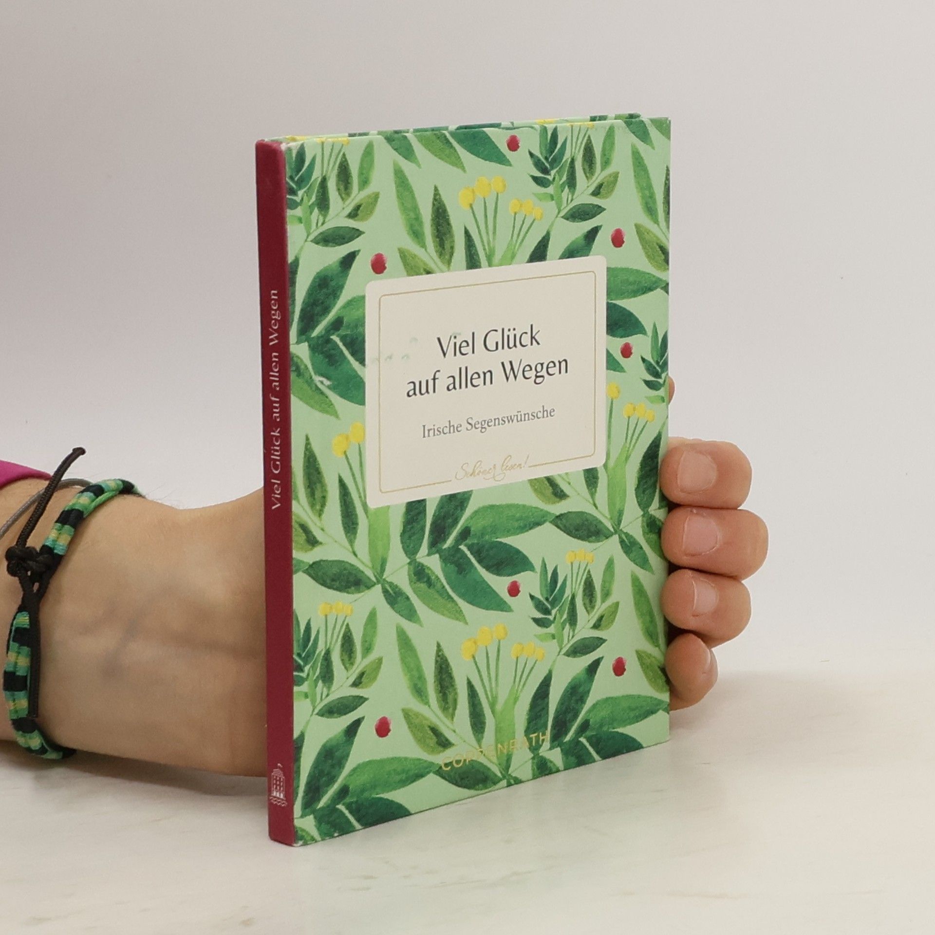 Kristina Labs Viel Glück auf allen Wegen. Irische Segenswünsche