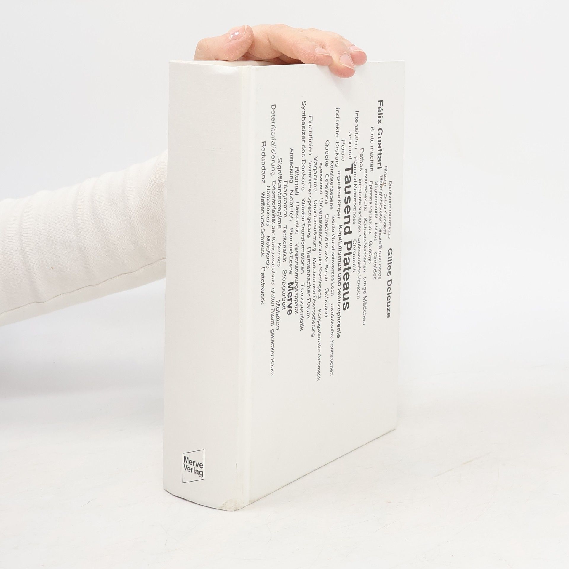 Gilles Deleuze Tausend Plateaus. Kapitalismus und Schizophrenie