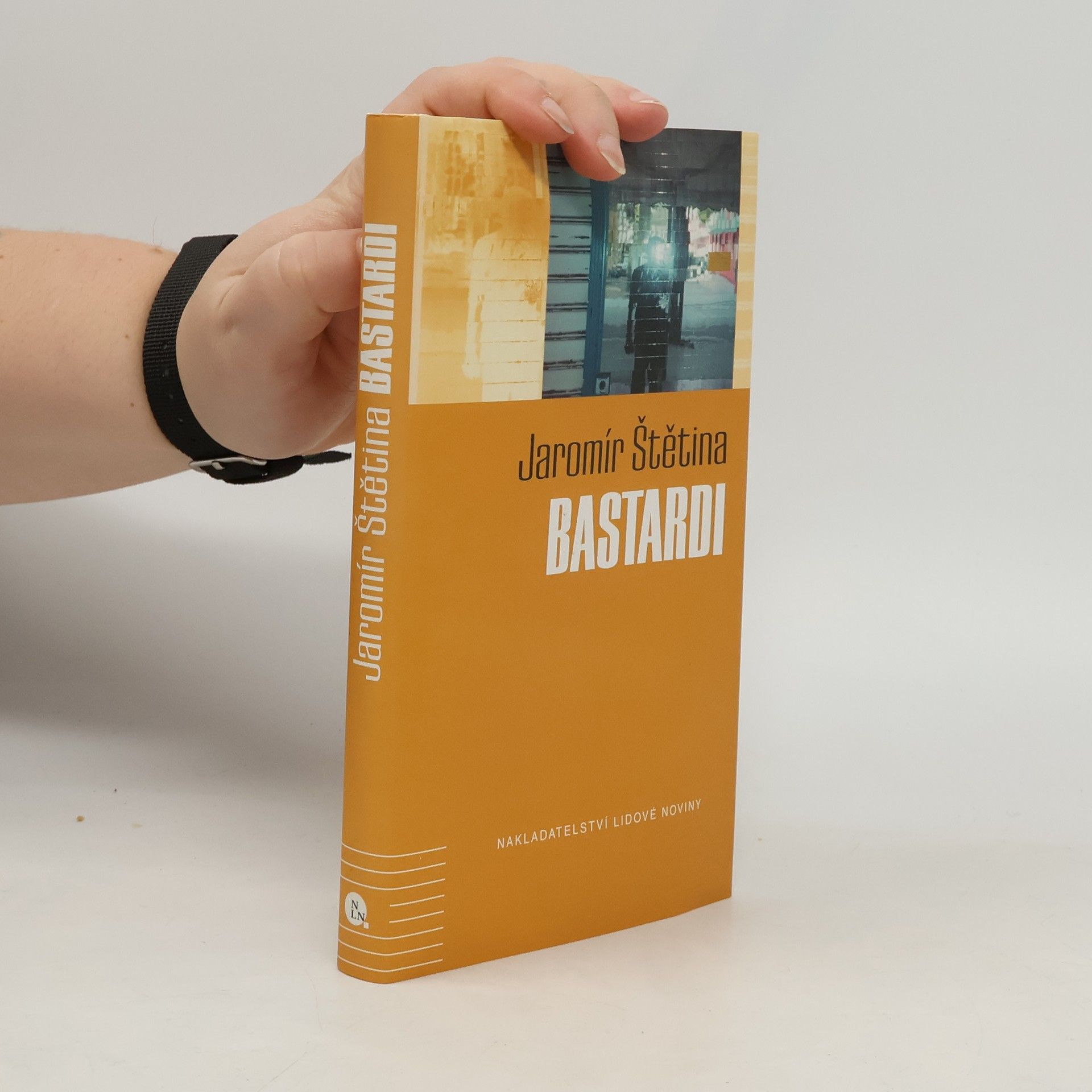 Jaromír Štětina Bastardi