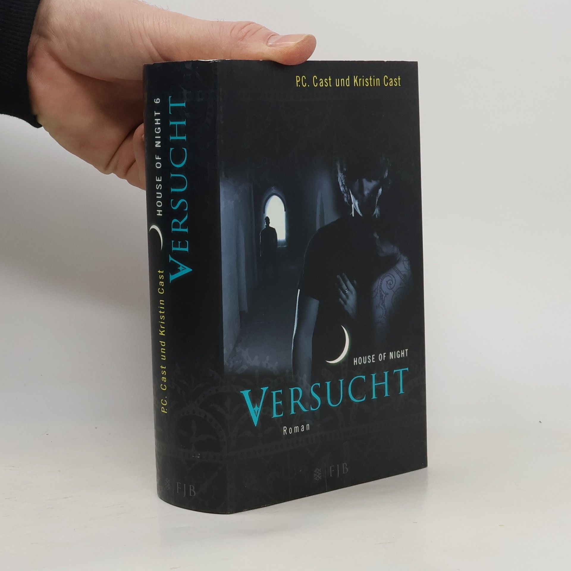 House of Night 6. Versucht