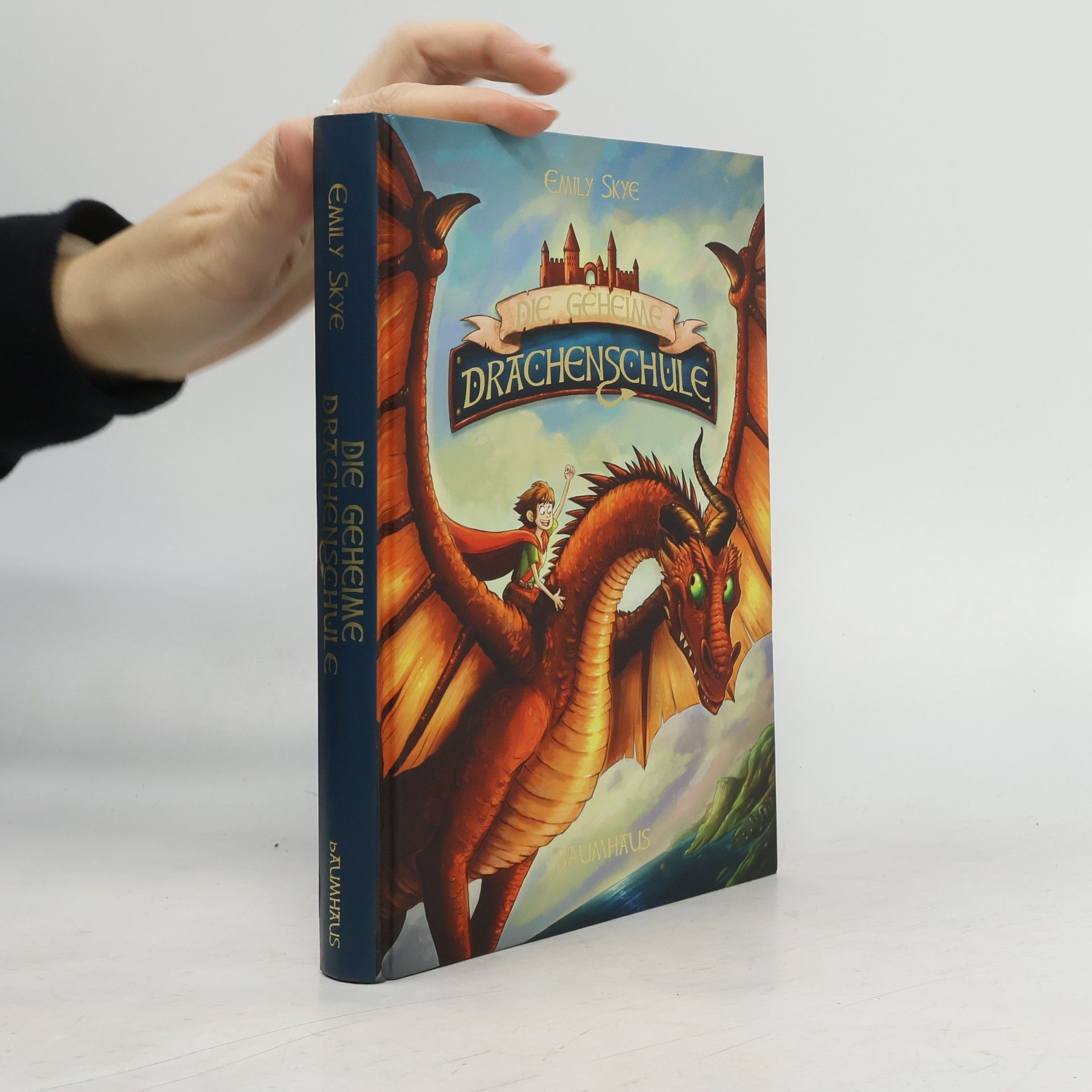 Emily Skye Die geheime Drachenschule