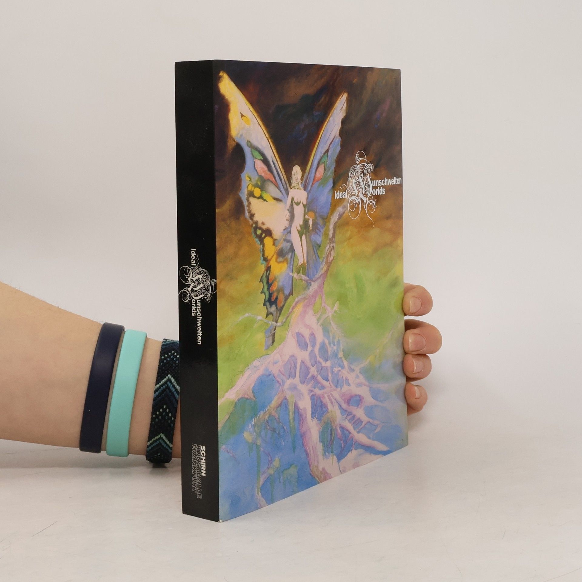Kolektív autorov Ideal Wunschwelten Worlds