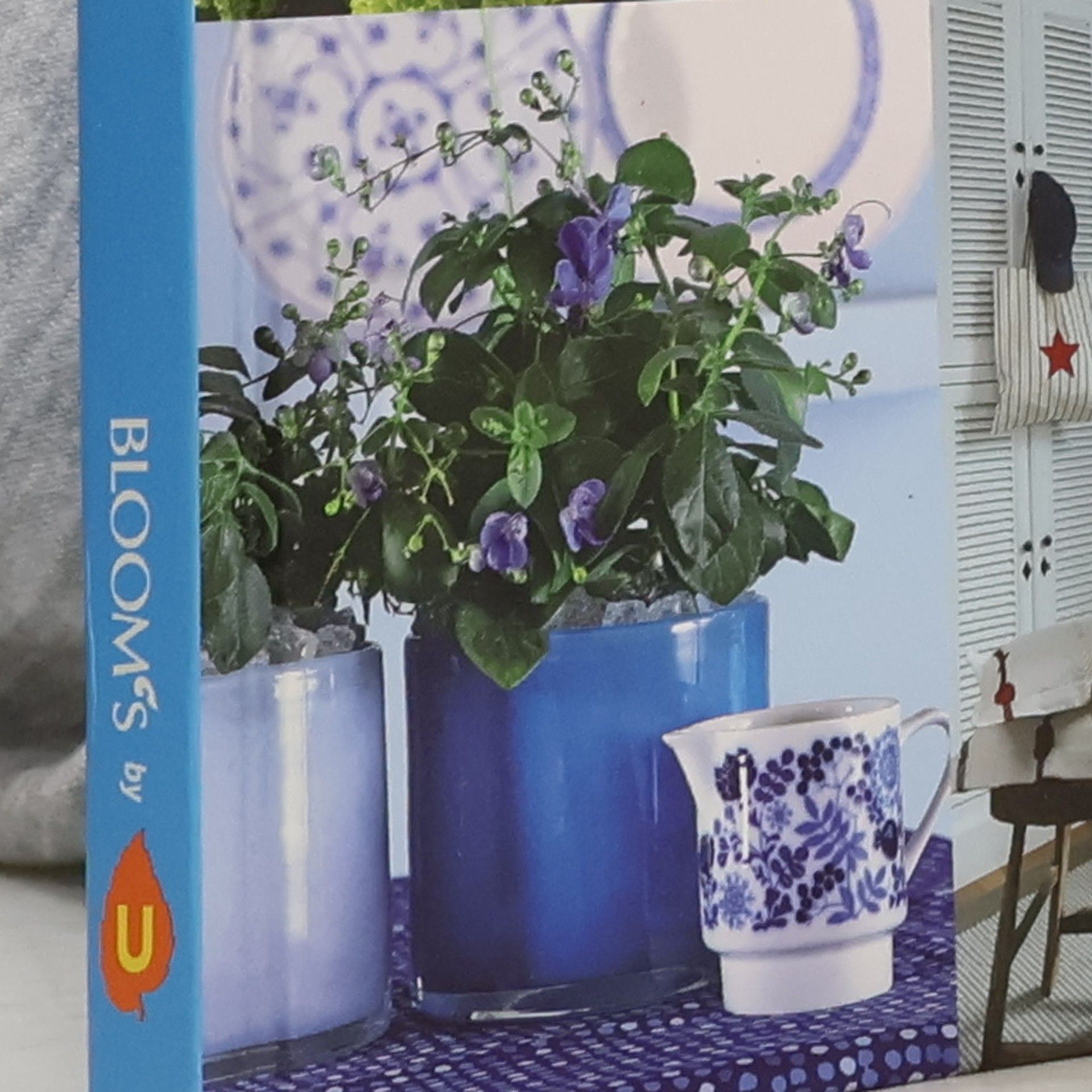 Karen Meier-Ebert Ganz dein Stil