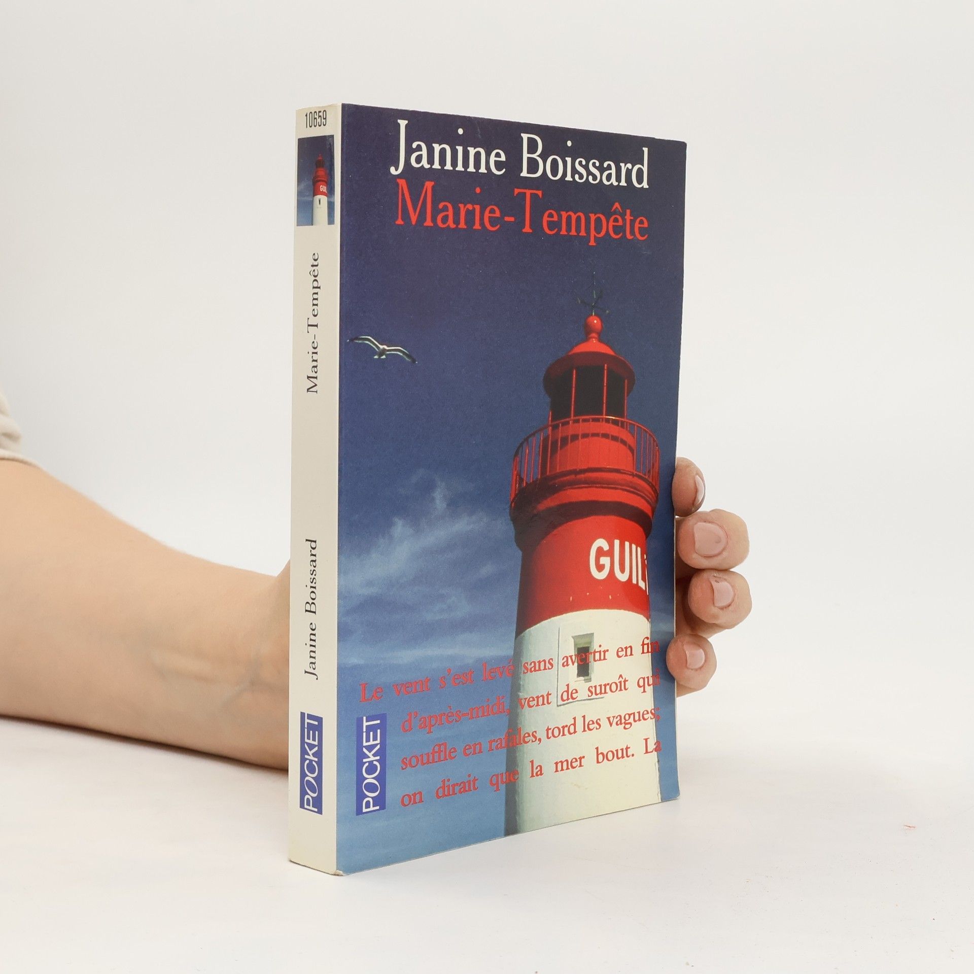 Janine Boissard Marie-tempête