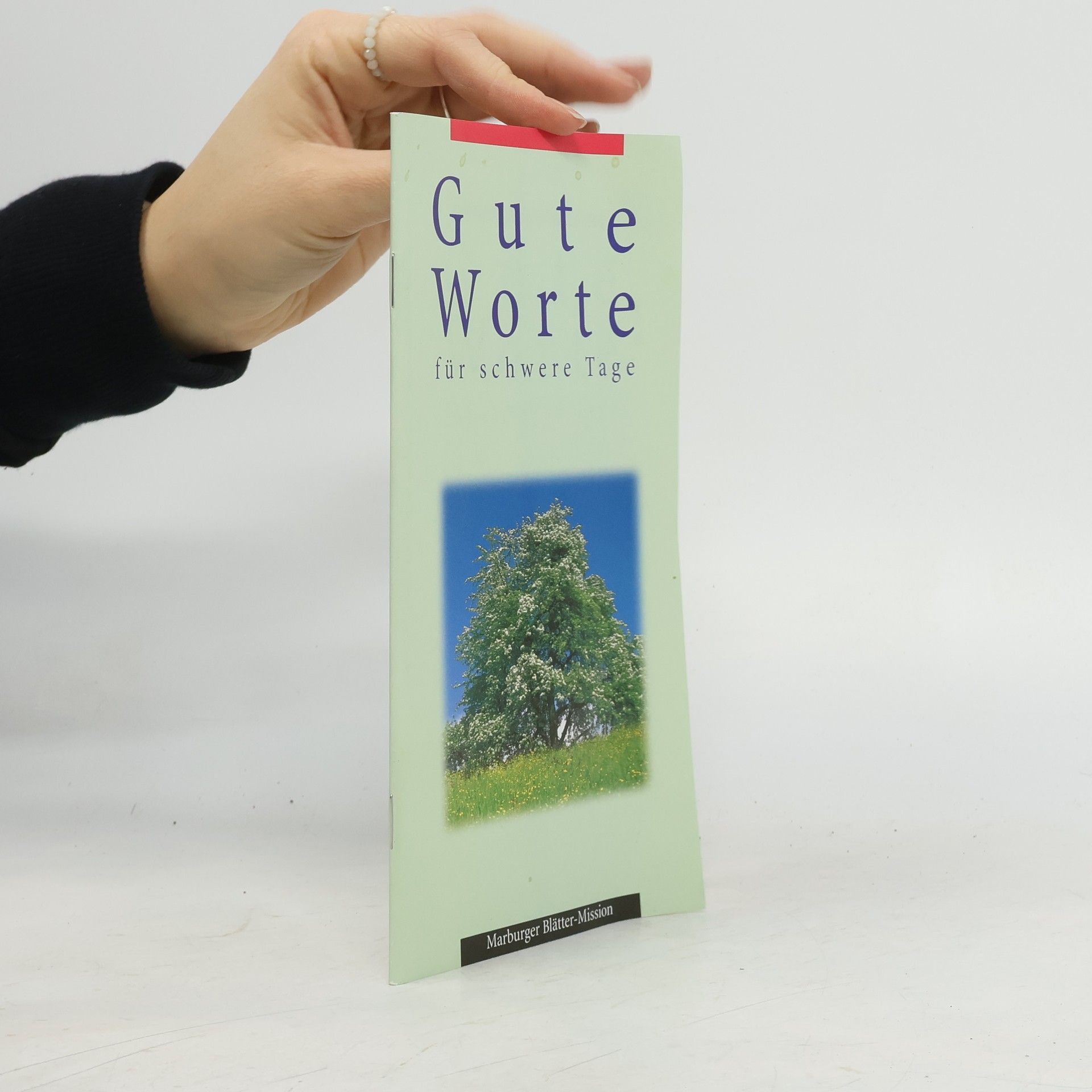 Autores varios Gute Worte für schwere Tage