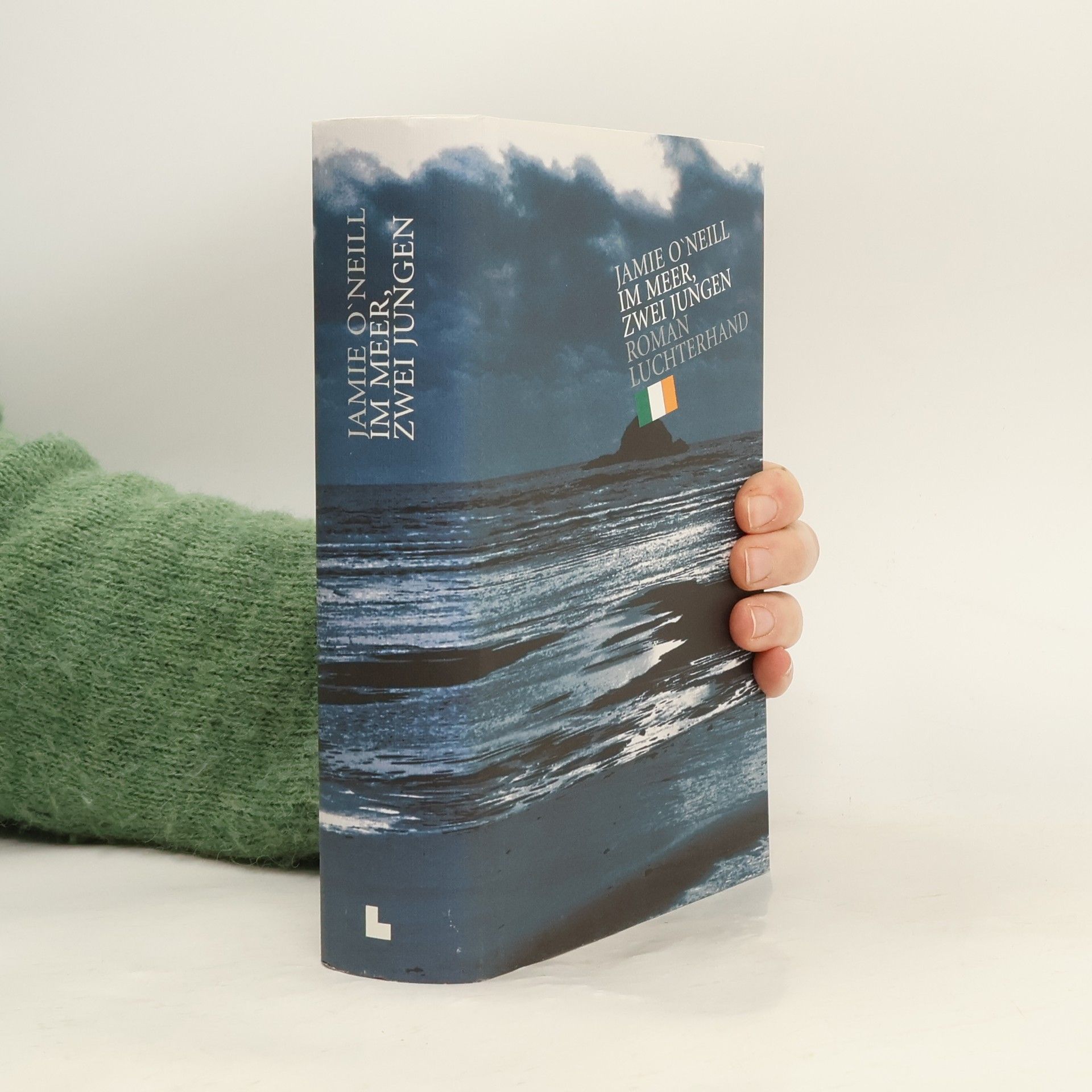 Im Meer, zwei Jungen