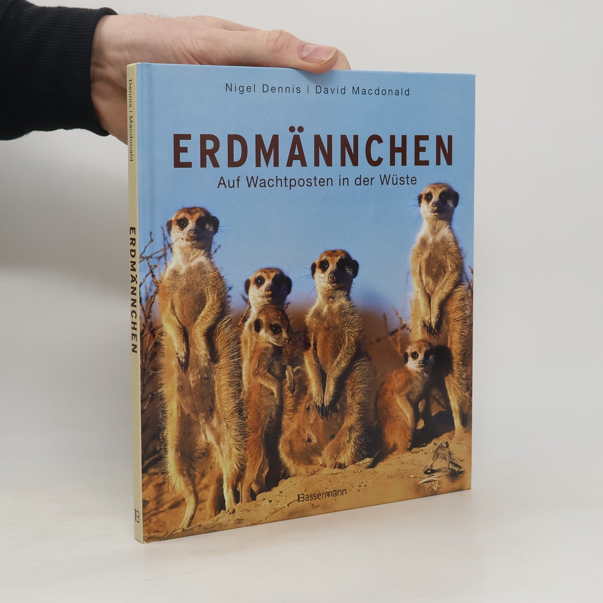 Erdmännchen. Auf Wachtposten in der Wüste
