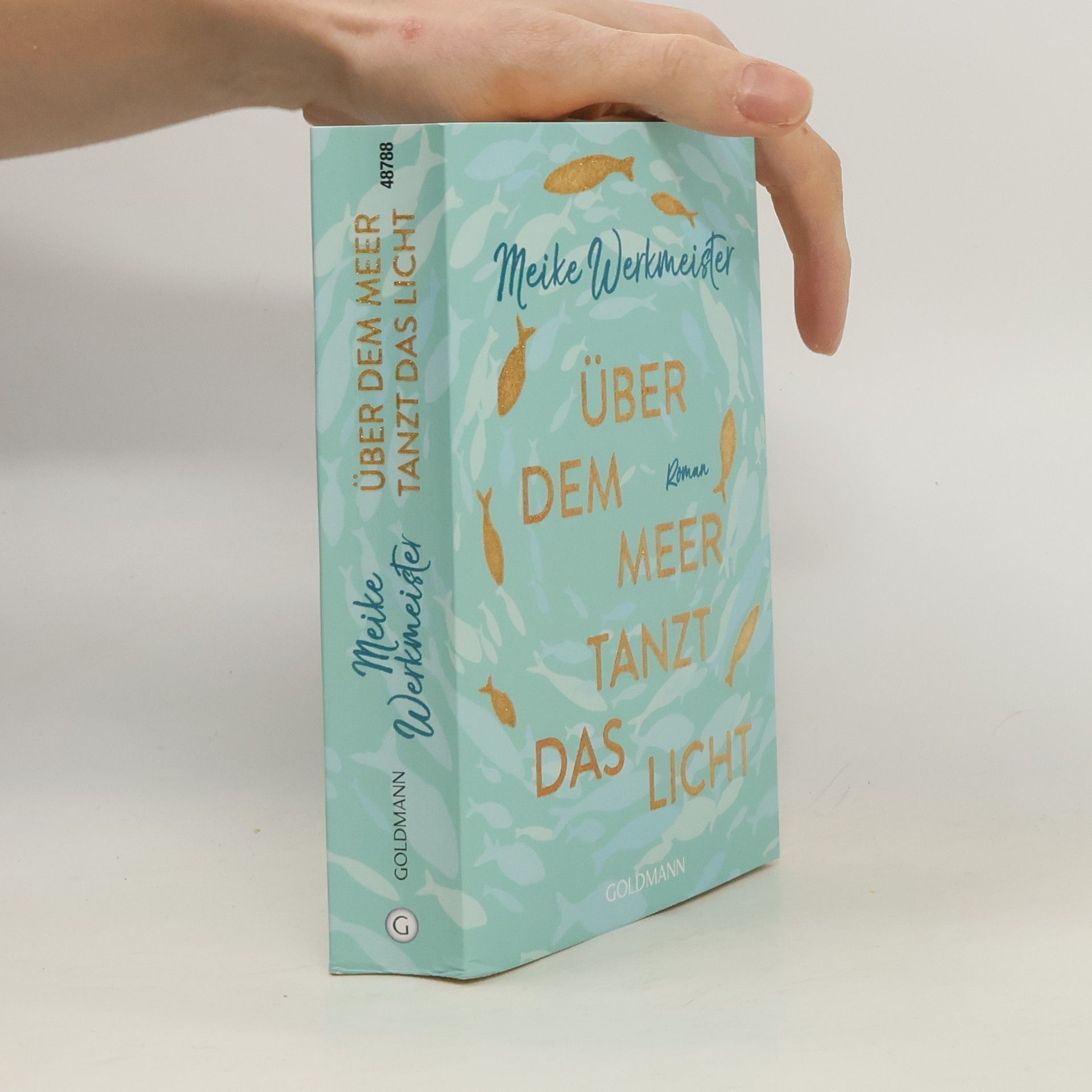 Meike Werkmeister Über dem Meer tanzt das Licht