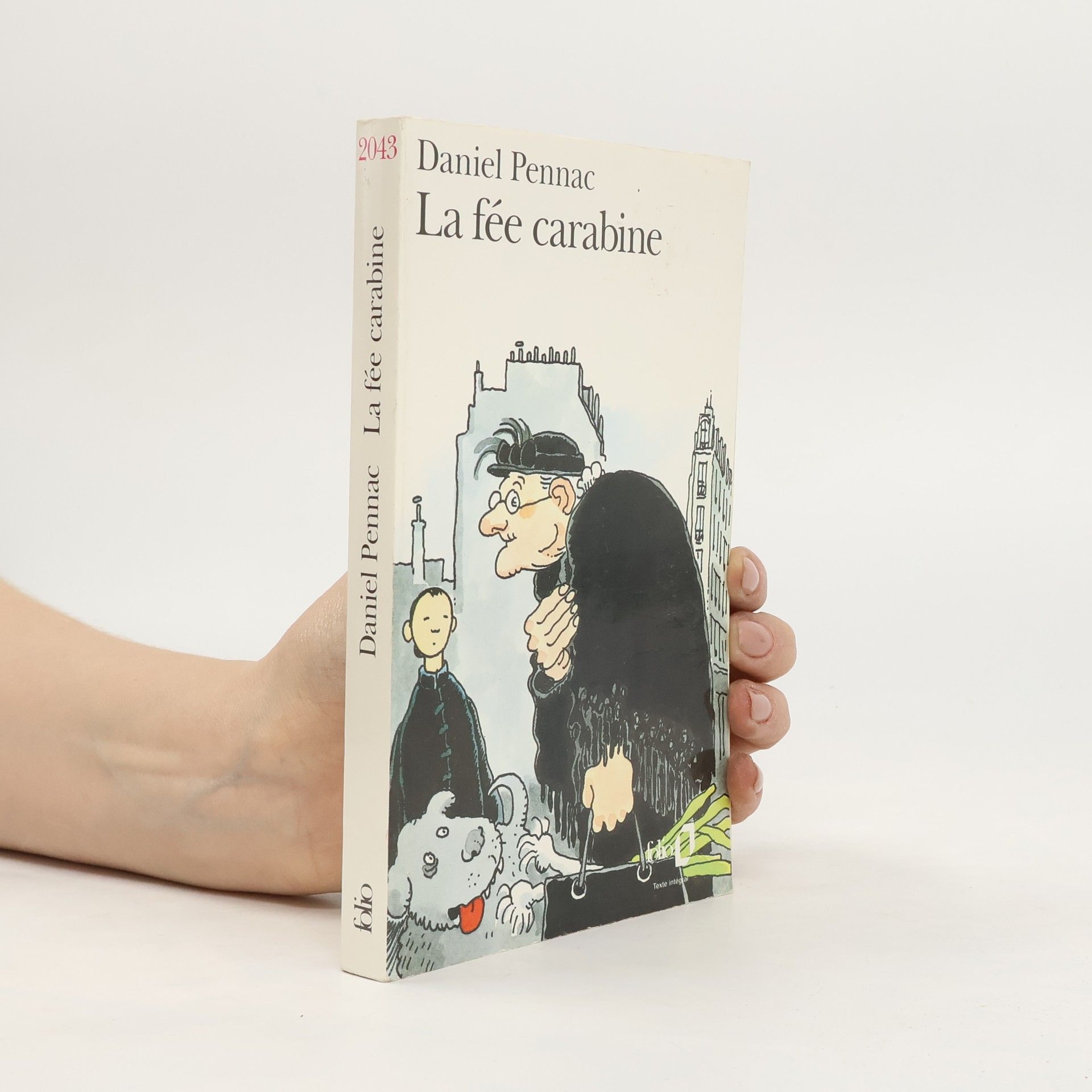 Daniel Pennac La fée carabine