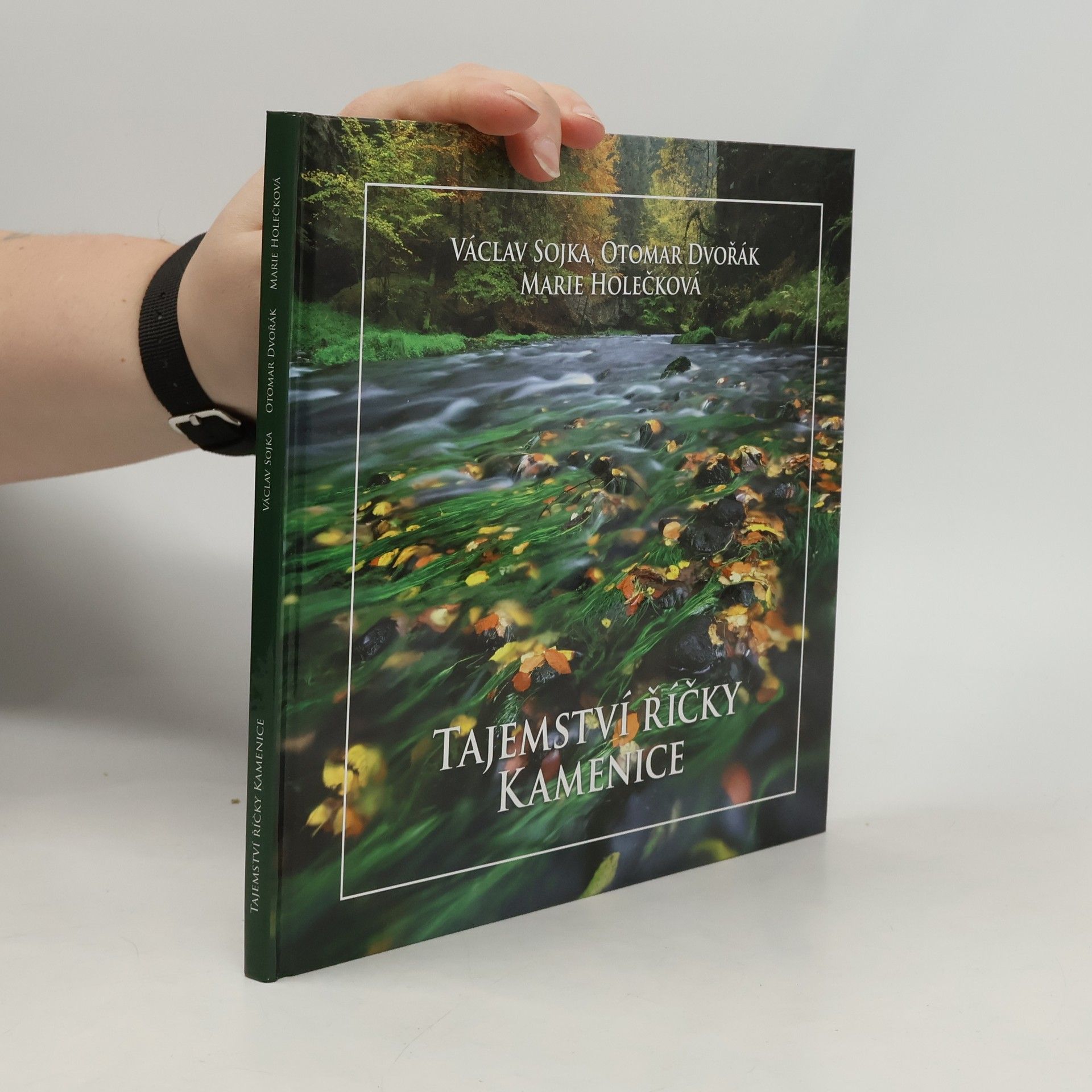 Marie Holečková Tajemství říčky Kamenice