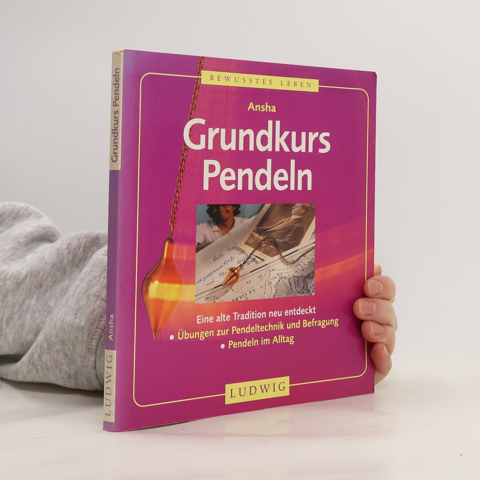 Kolektiv autorů Grundkurs Pendeln