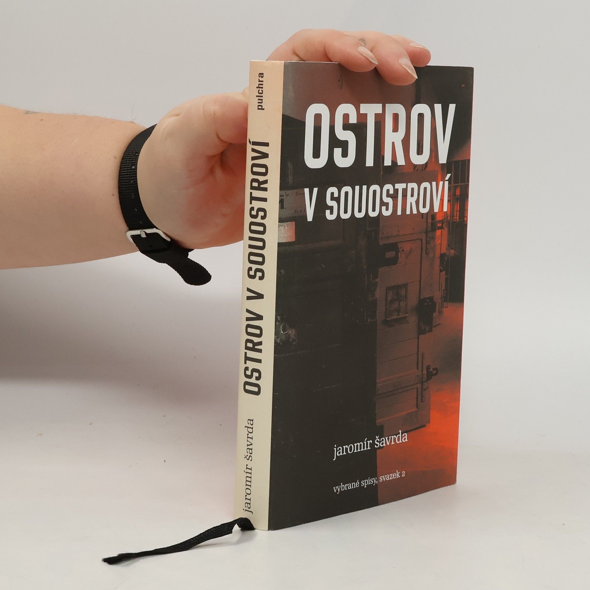 Jaromír Šavrda Ostrov v souostroví