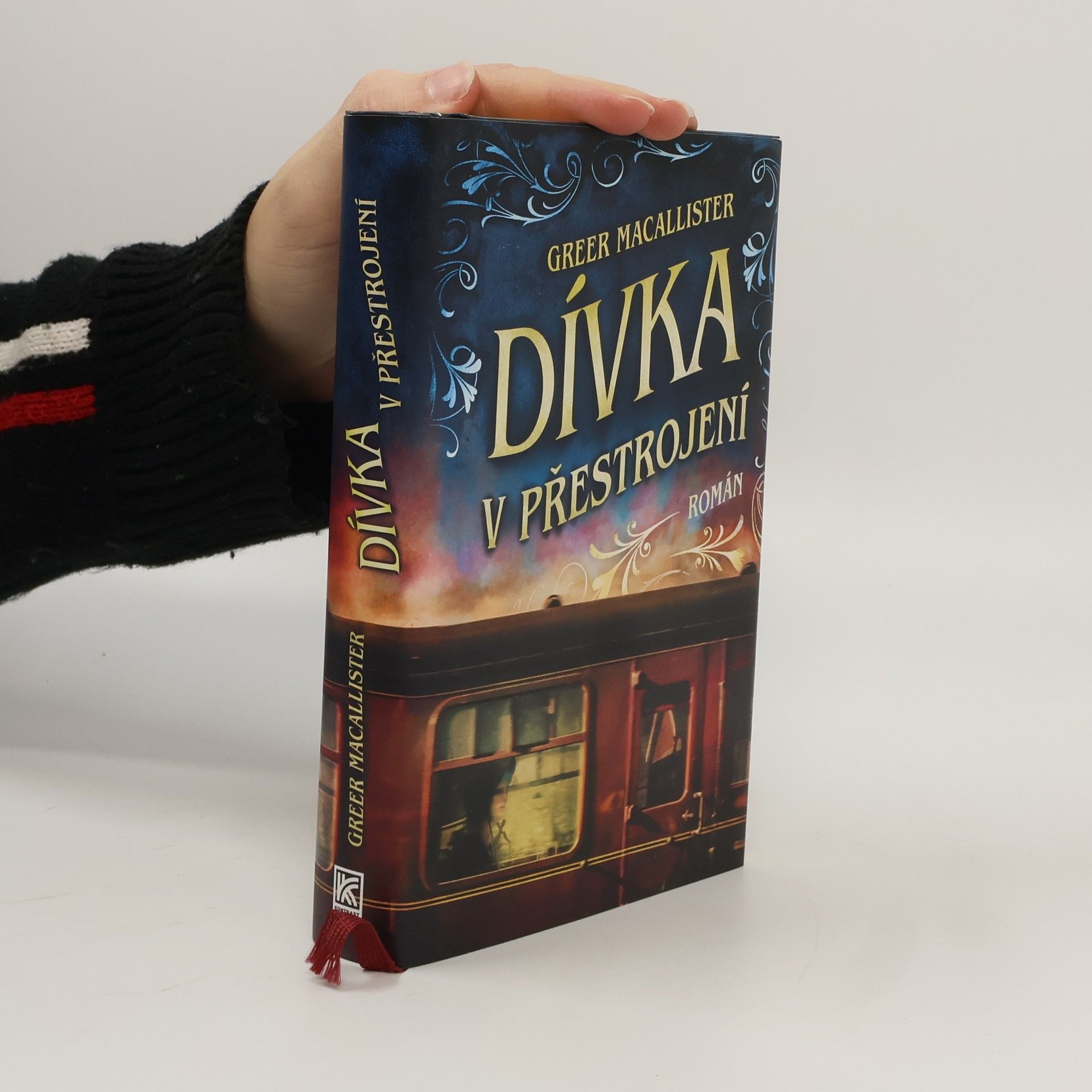 Greer Macallister Dívka v přestrojení