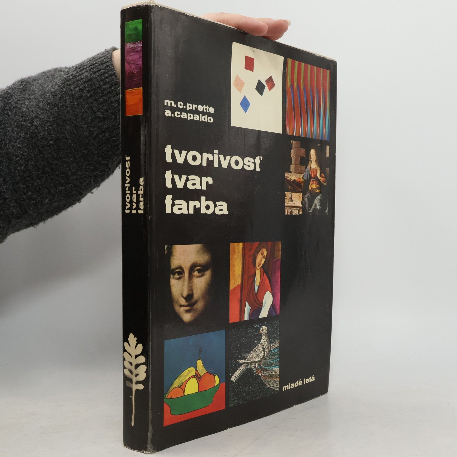 Tvorivosť. Tvar. Farba