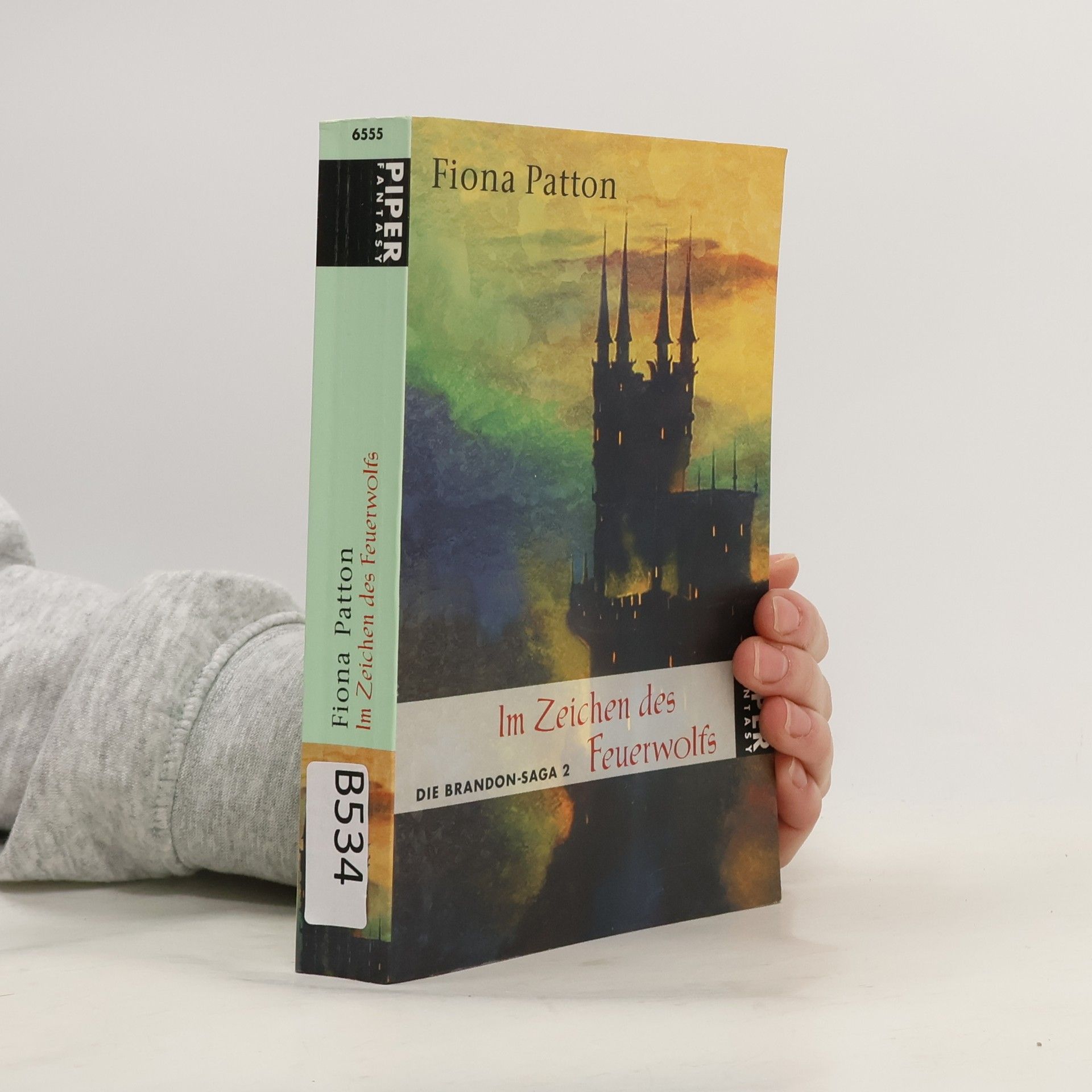 Fiona Patton Die Brandon-Saga 2. Im Zeichen des Feuerwolfs