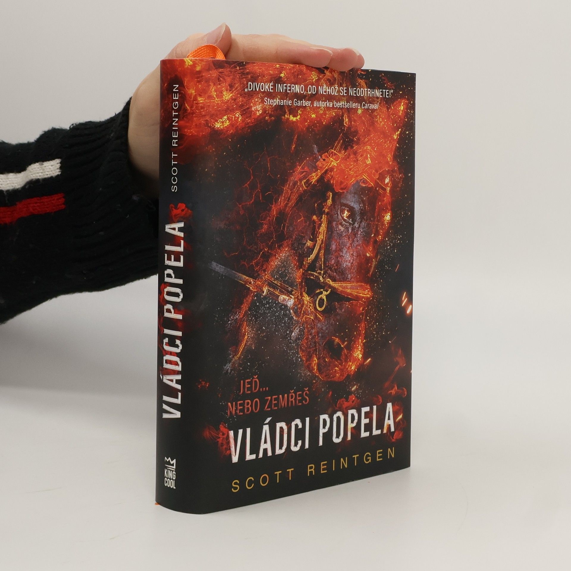 Scott Reintgen Vládci popela