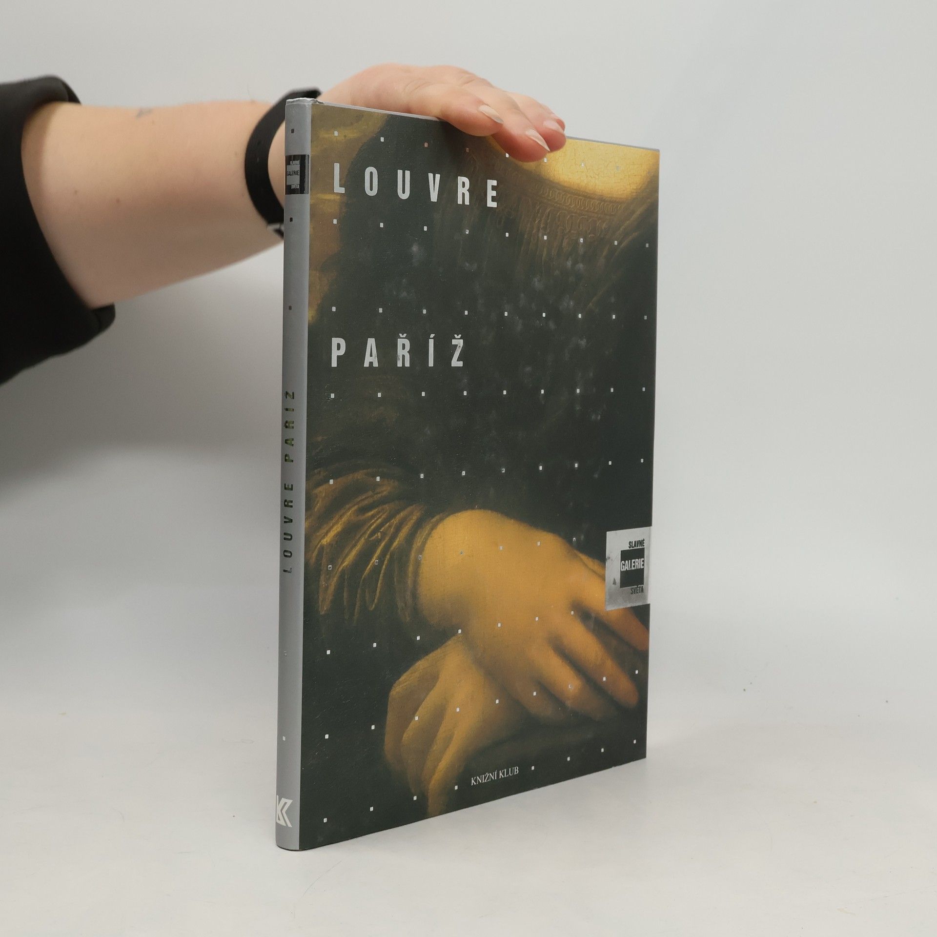 Alessandra Fregolent Slavné galerie světa. Louvre - Paříž