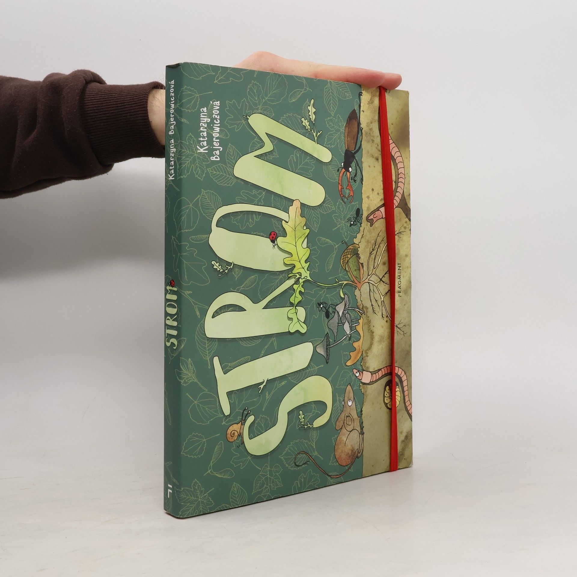 Katarzyna Bajerowicz Strom