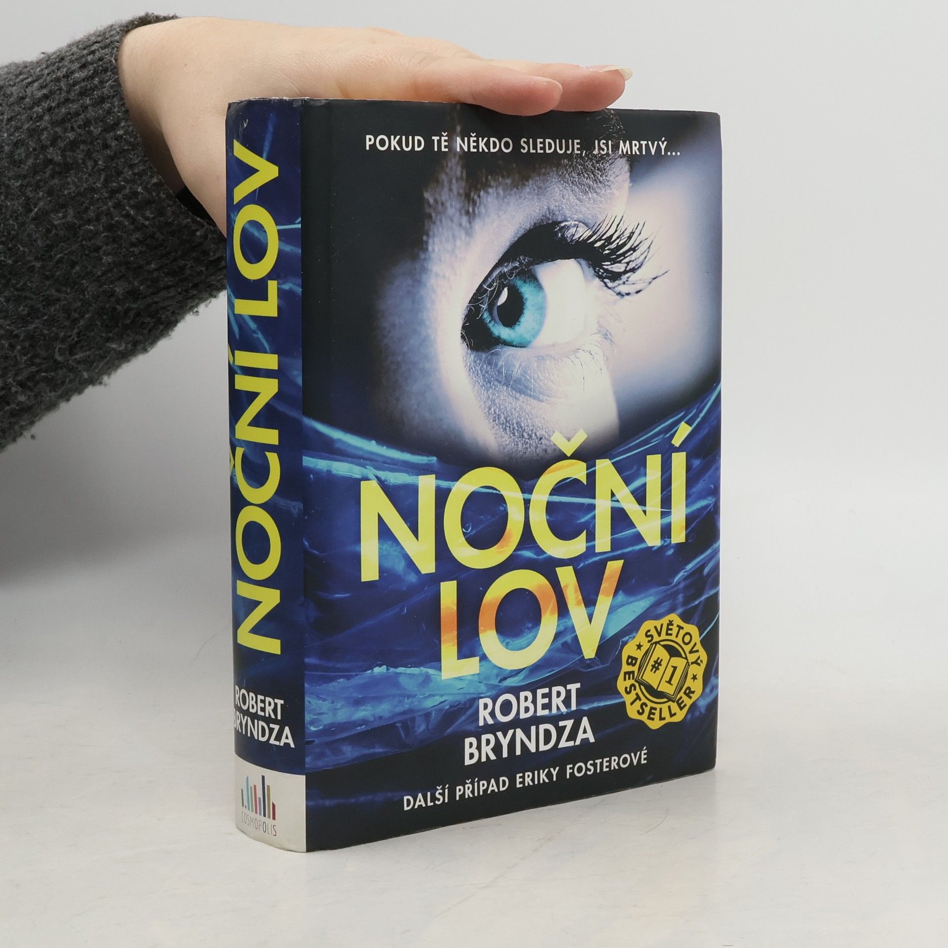 Robert Bryndza Noční lov