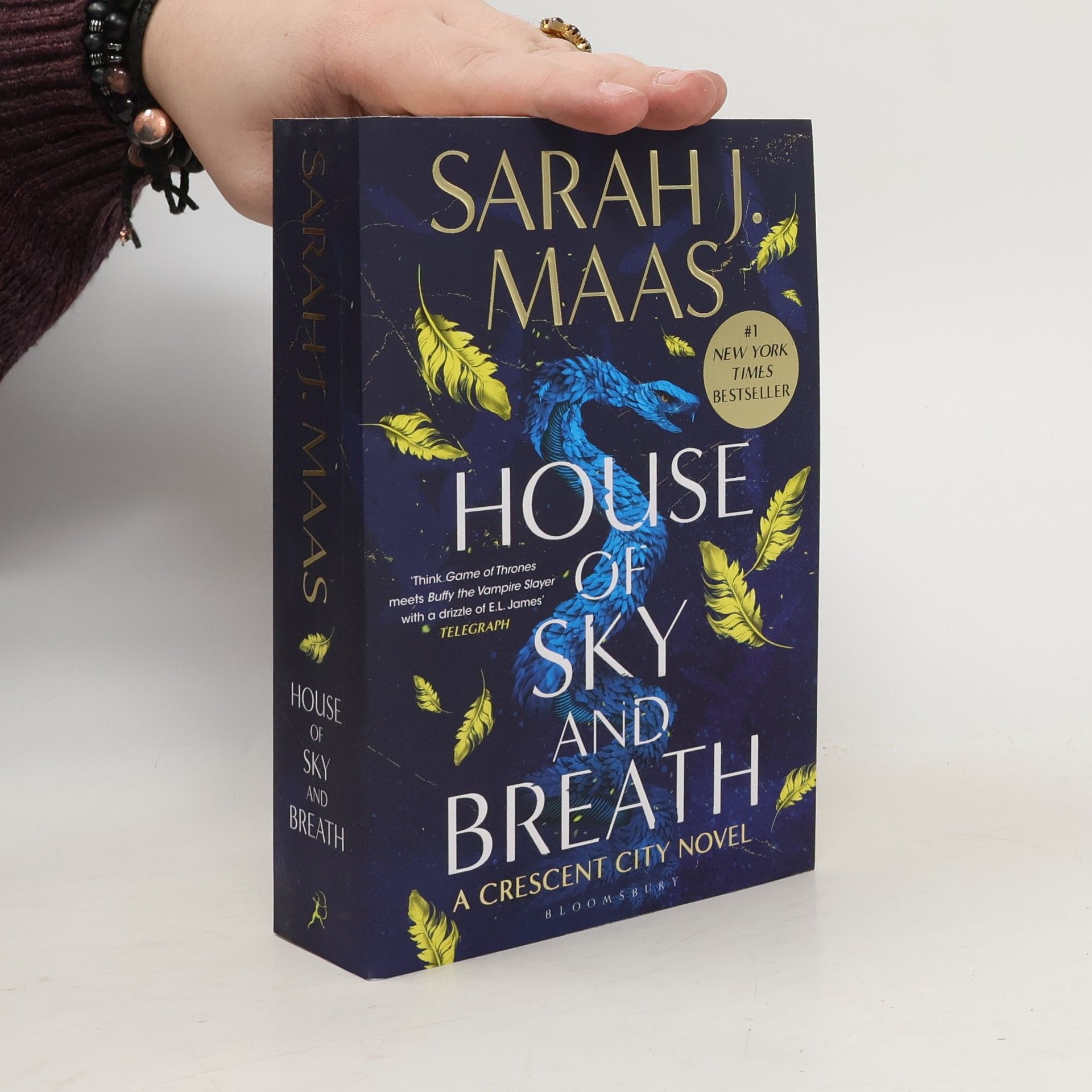 Sarah J. Maas House of Sky and Breath