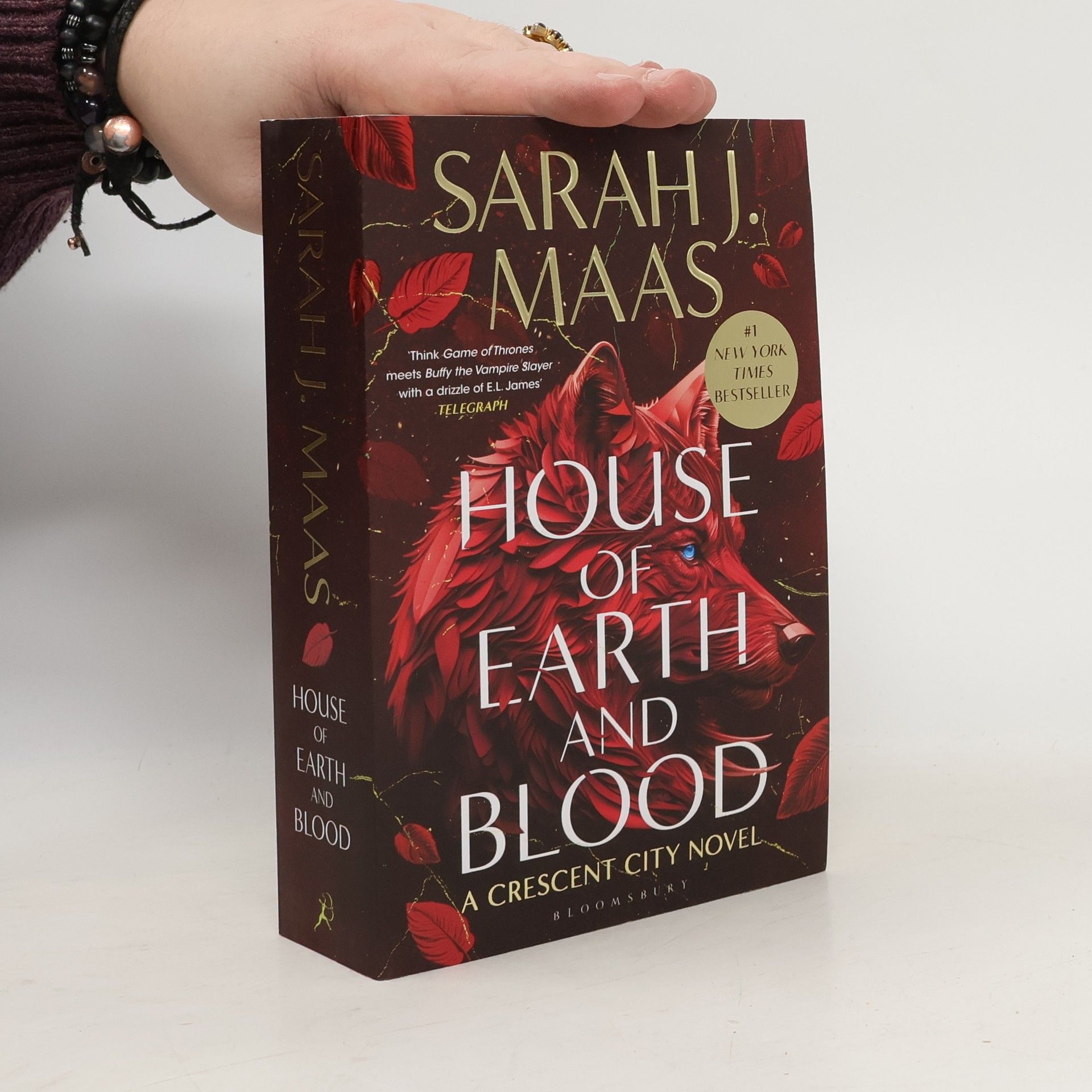 Sarah J. Maas House of Earth and Blood