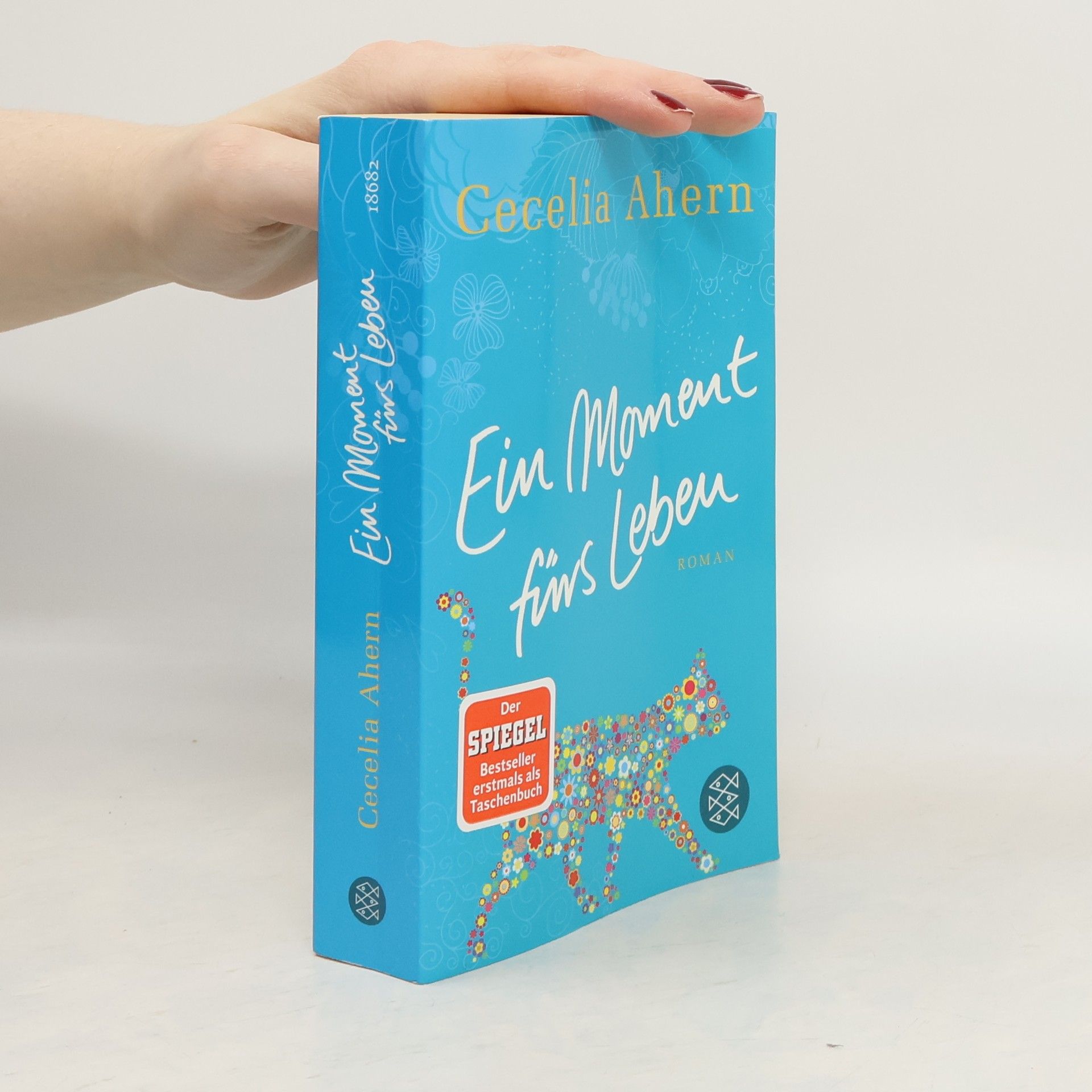 Cecelia Ahern Ein Moment fürs Leben