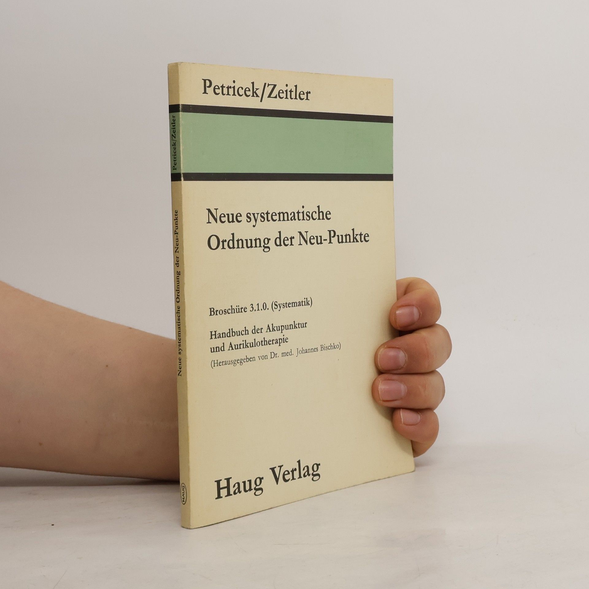 Johannes Bischko Die chinesische Intensiv- Akupunkturtherapie