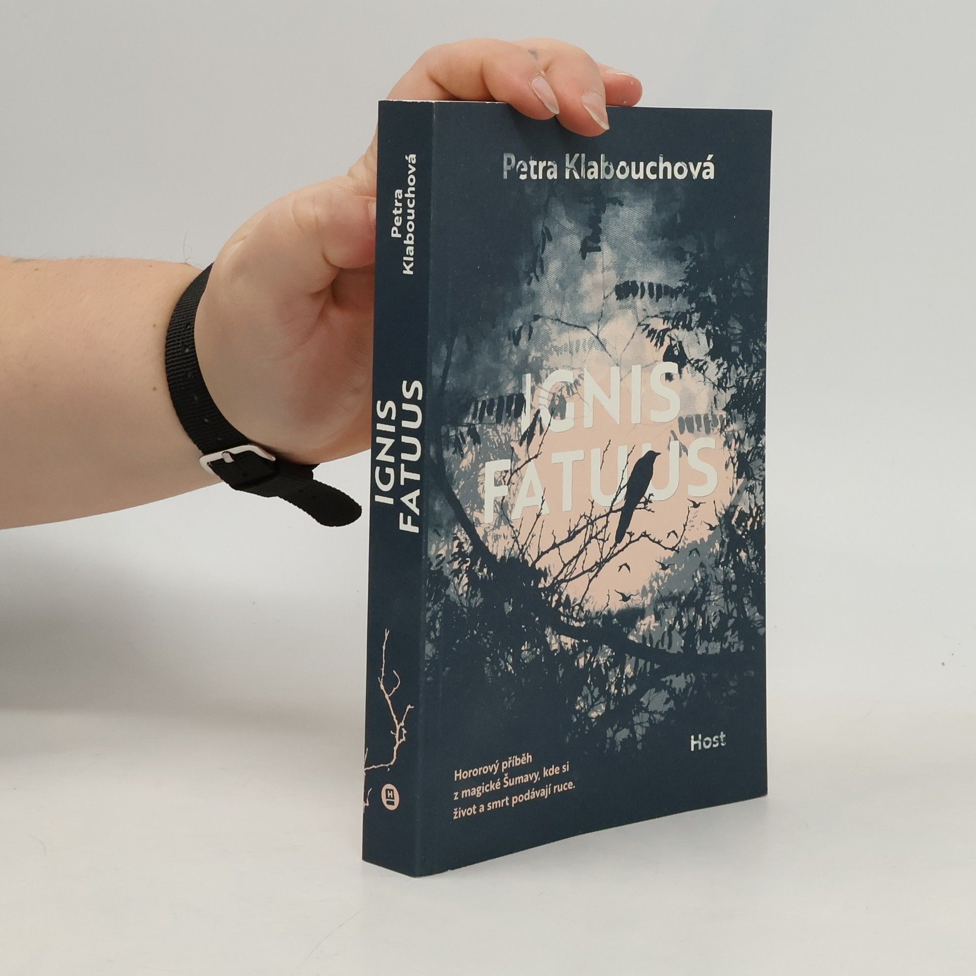 Petra Klabouchová Ignis fatuus